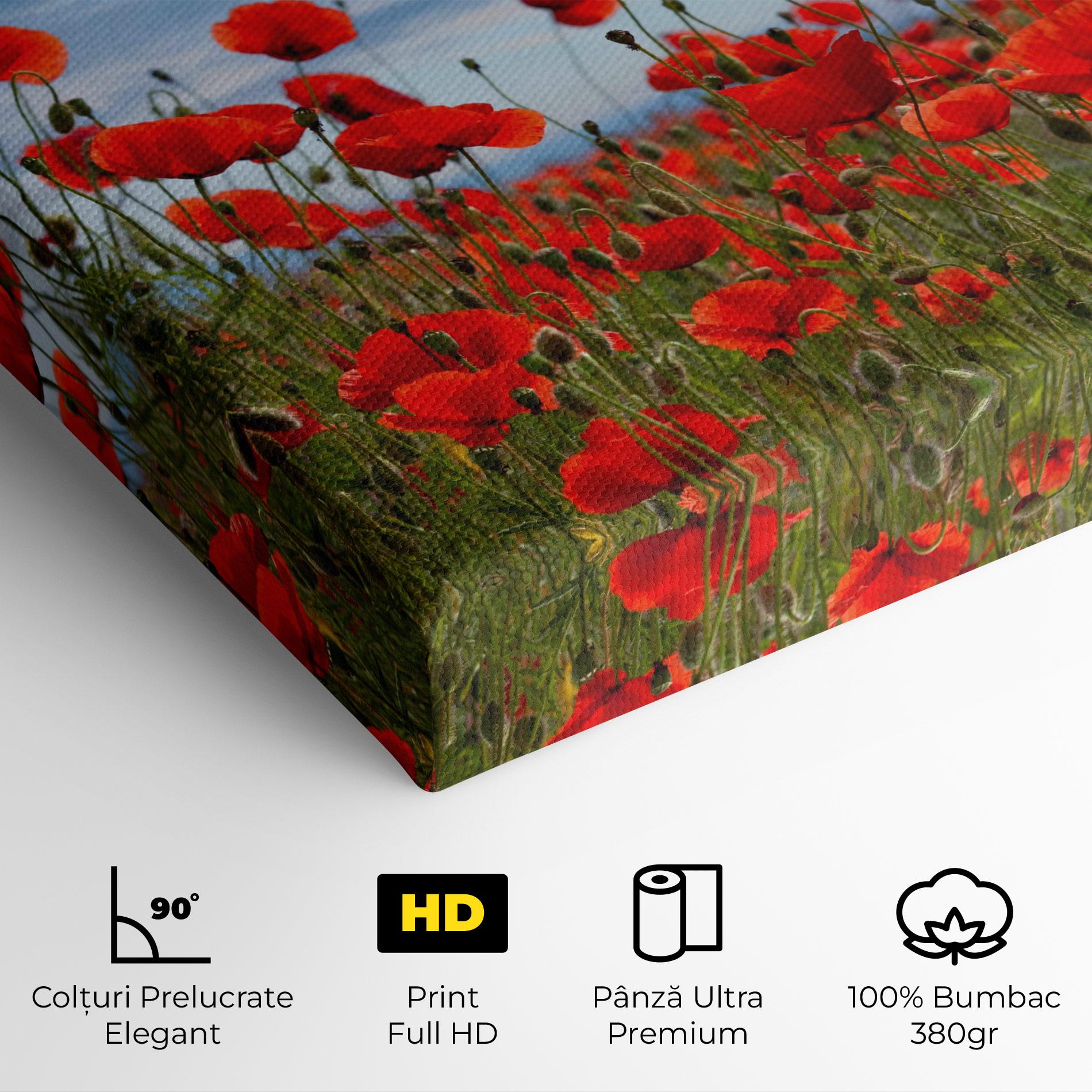Tablou Canvas Poppy Field mockup 4