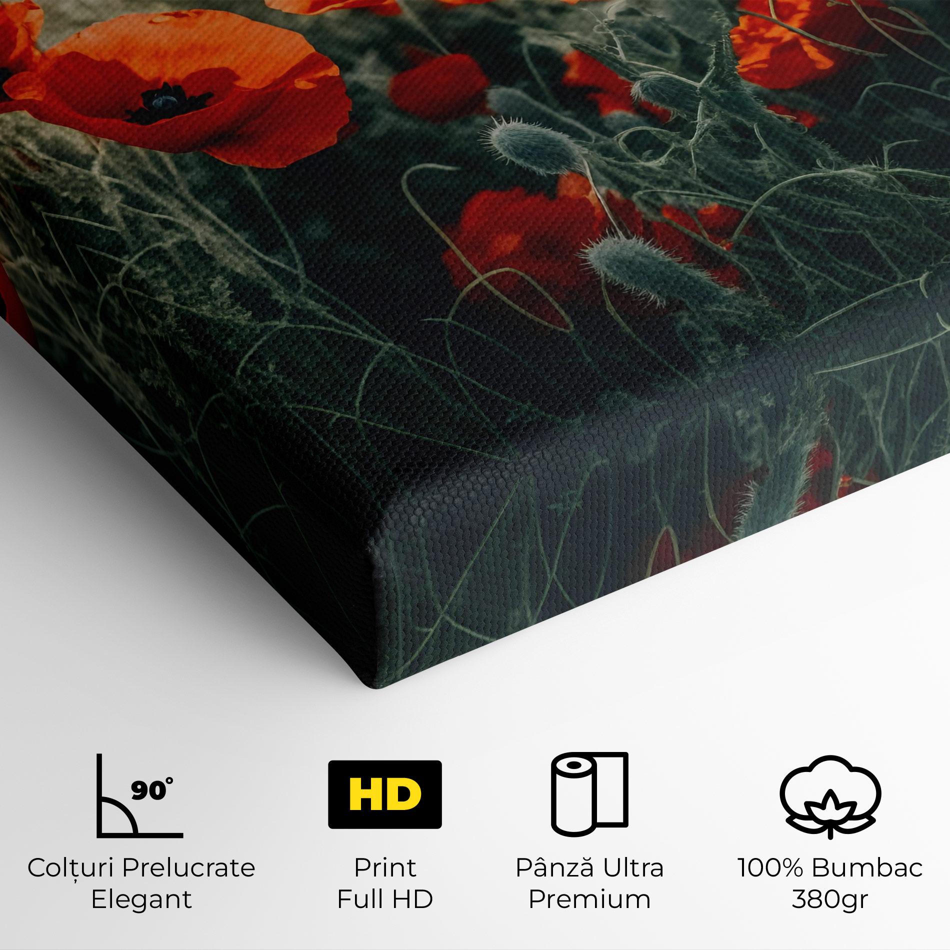 Tablou Canvas Poppy Grass Field mockup 4