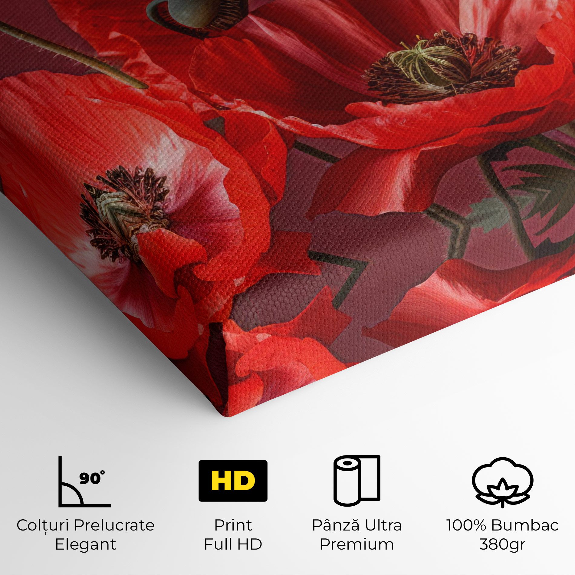 Red Poppies mockup 4