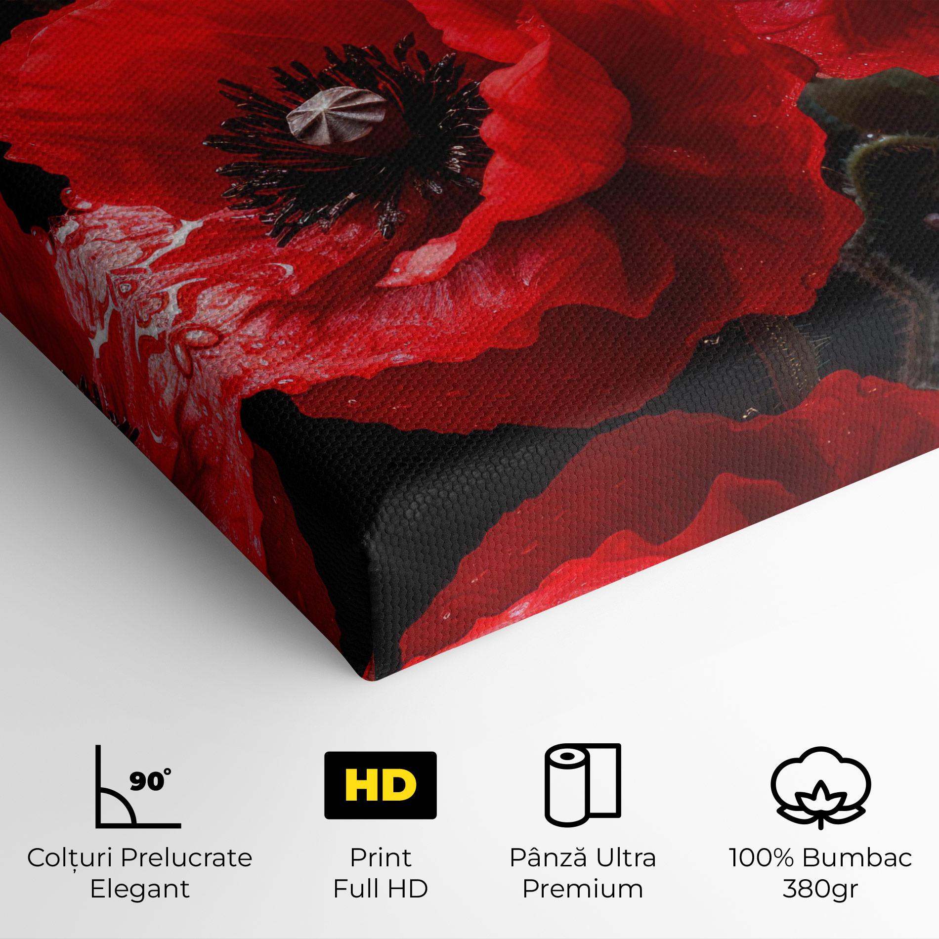 Tablou Canvas Red Poppy mockup 4