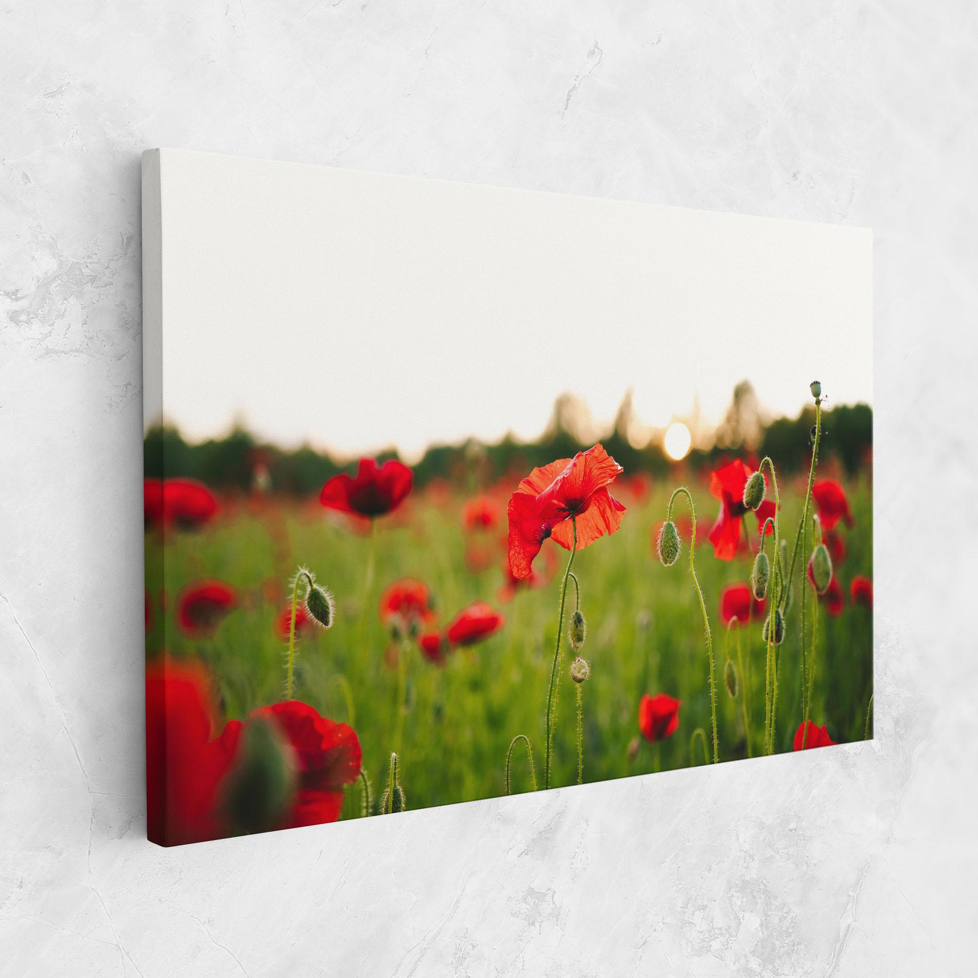 Tablou Canvas Poppies Field mockup 1