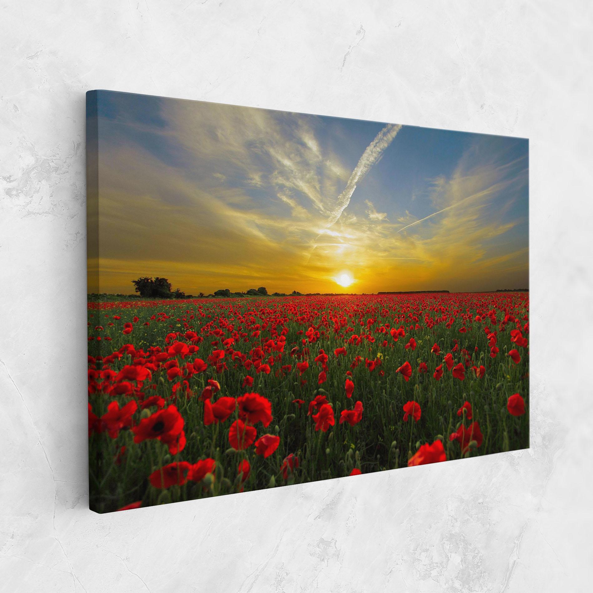 Tablou Canvas Poppies Sunset mockup 1