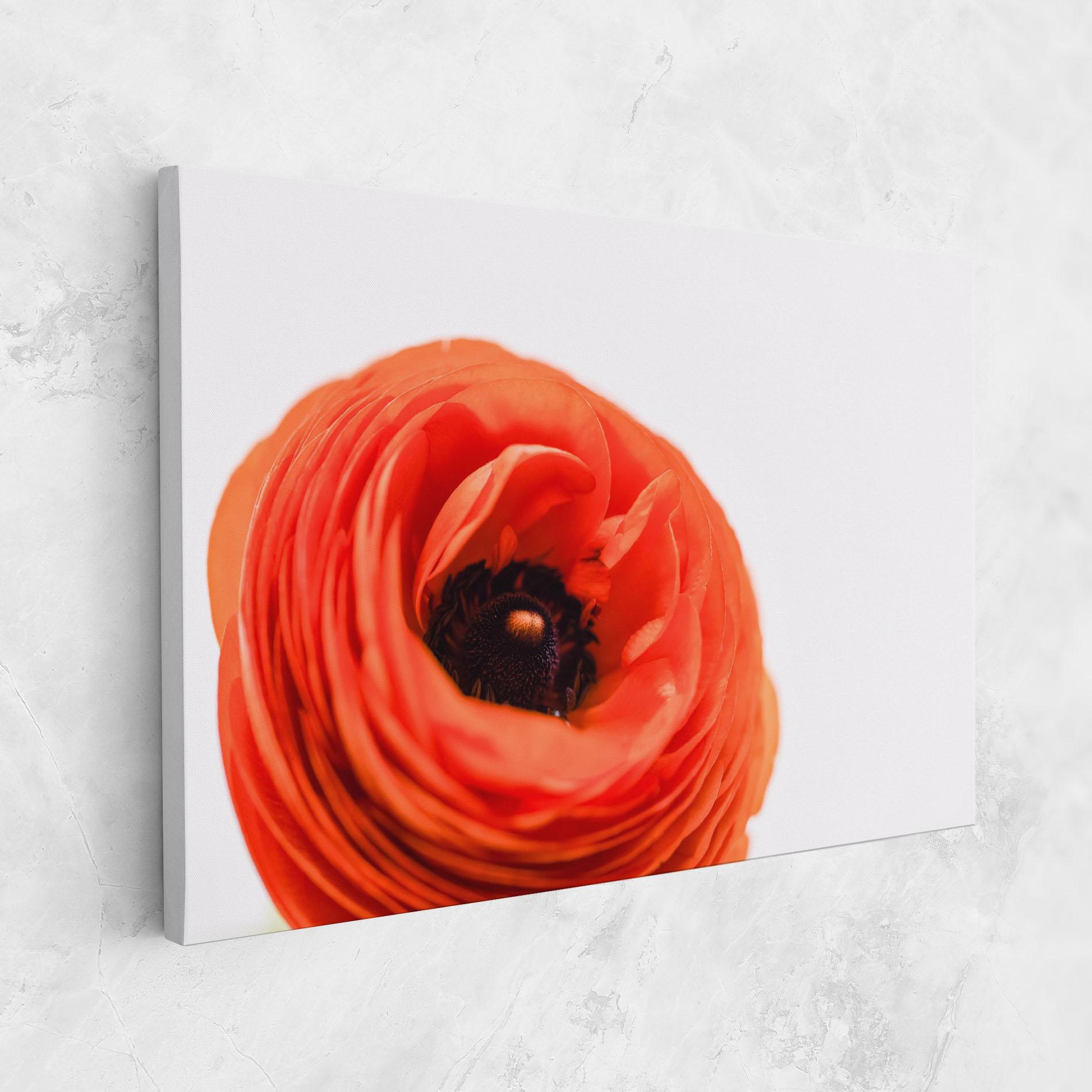 Tablou Canvas Pretty Red Poppy mockup 1