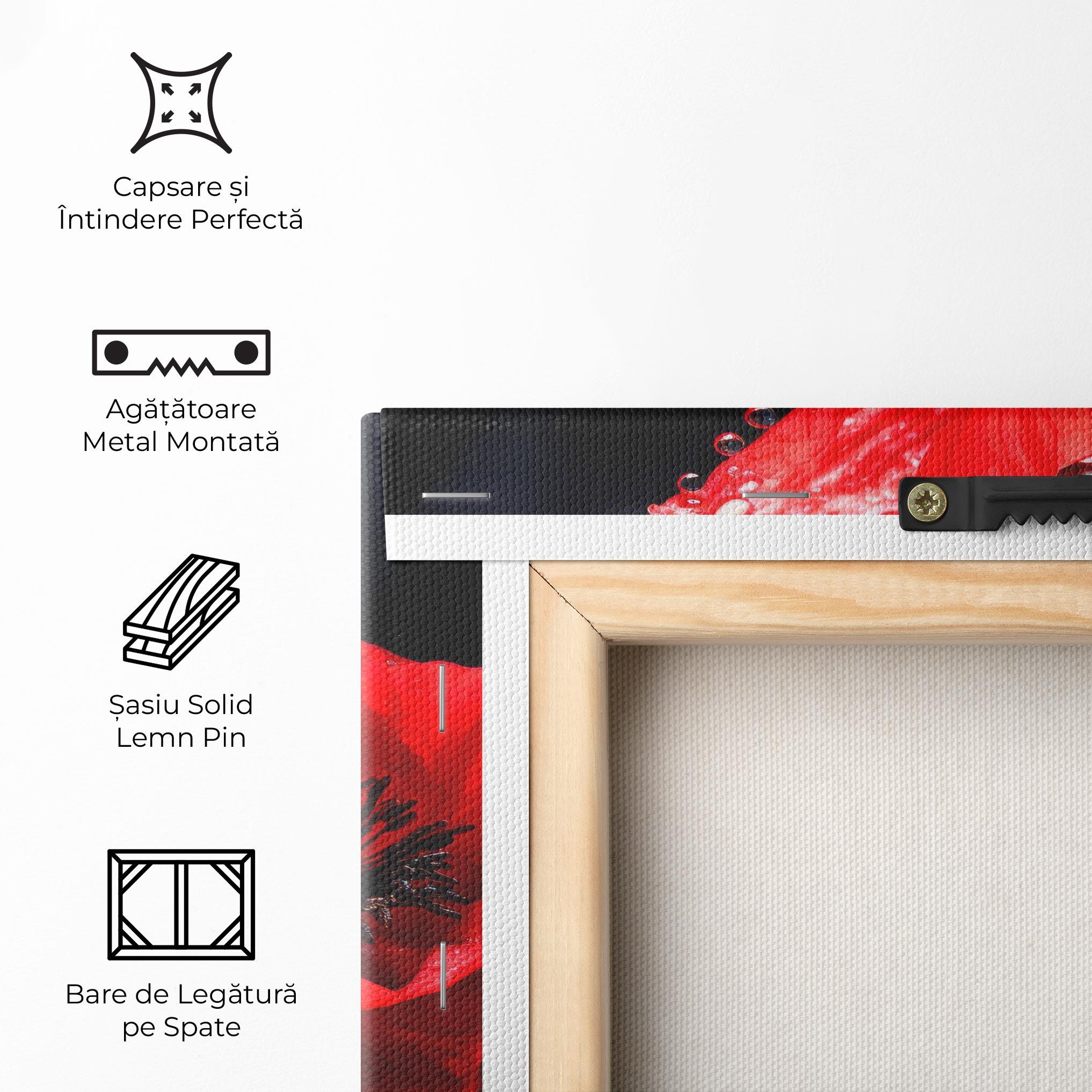 Tablou Canvas Red Poppy mockup 5