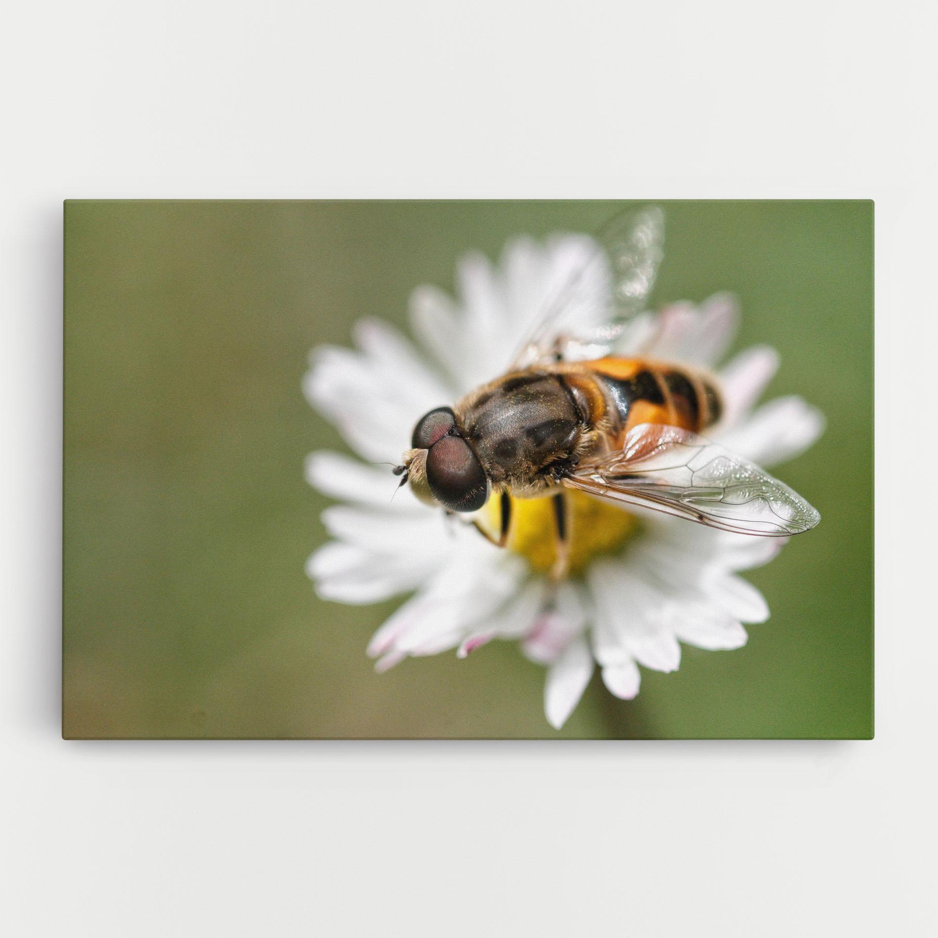 Tablou Canvas Bee On Small Daisy mockup 0