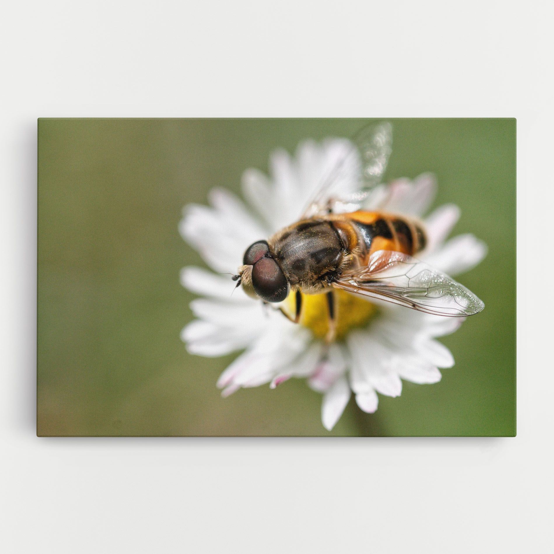Bee On Small Daisy mockup 0