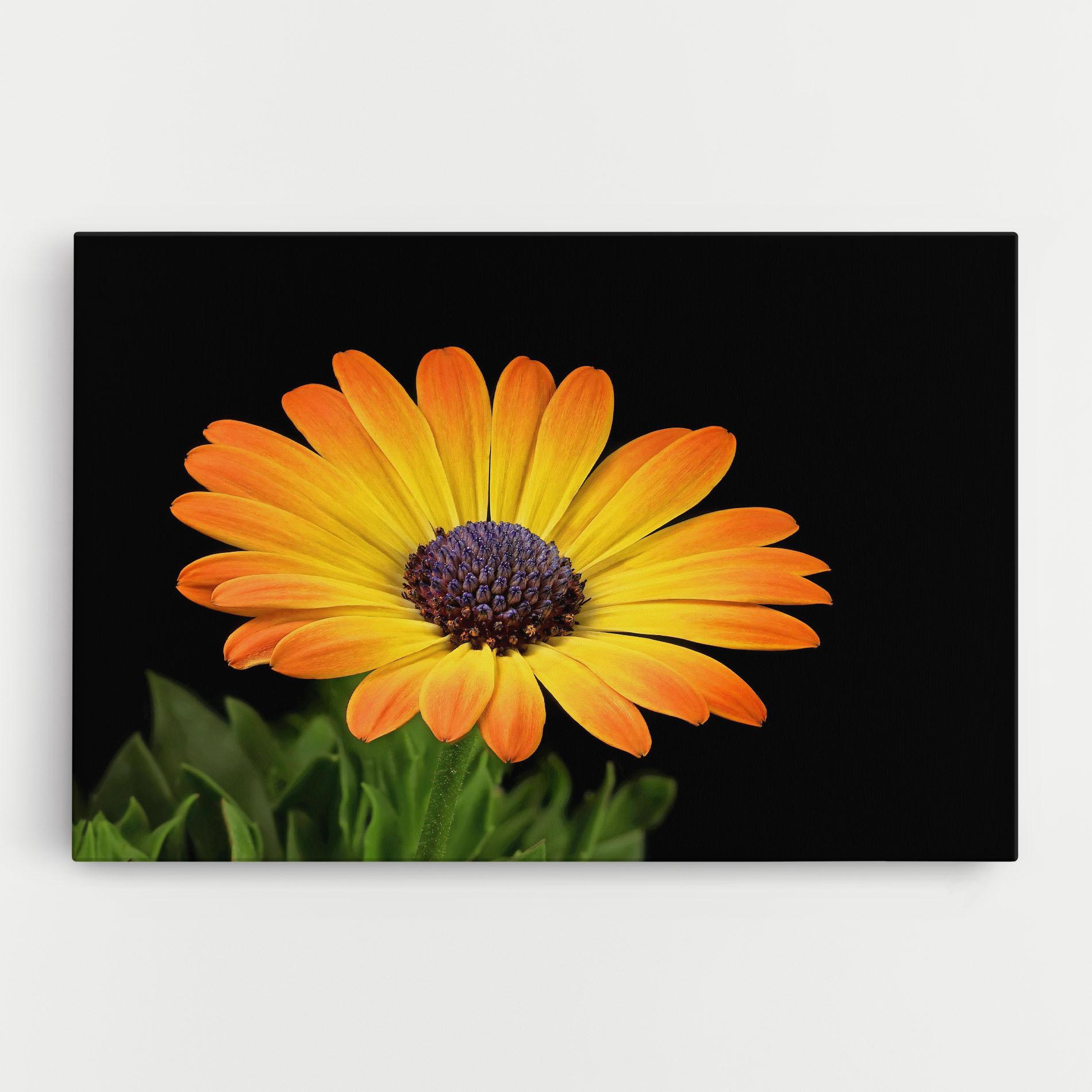 Tablou Canvas Yellow Daisy mockup 0