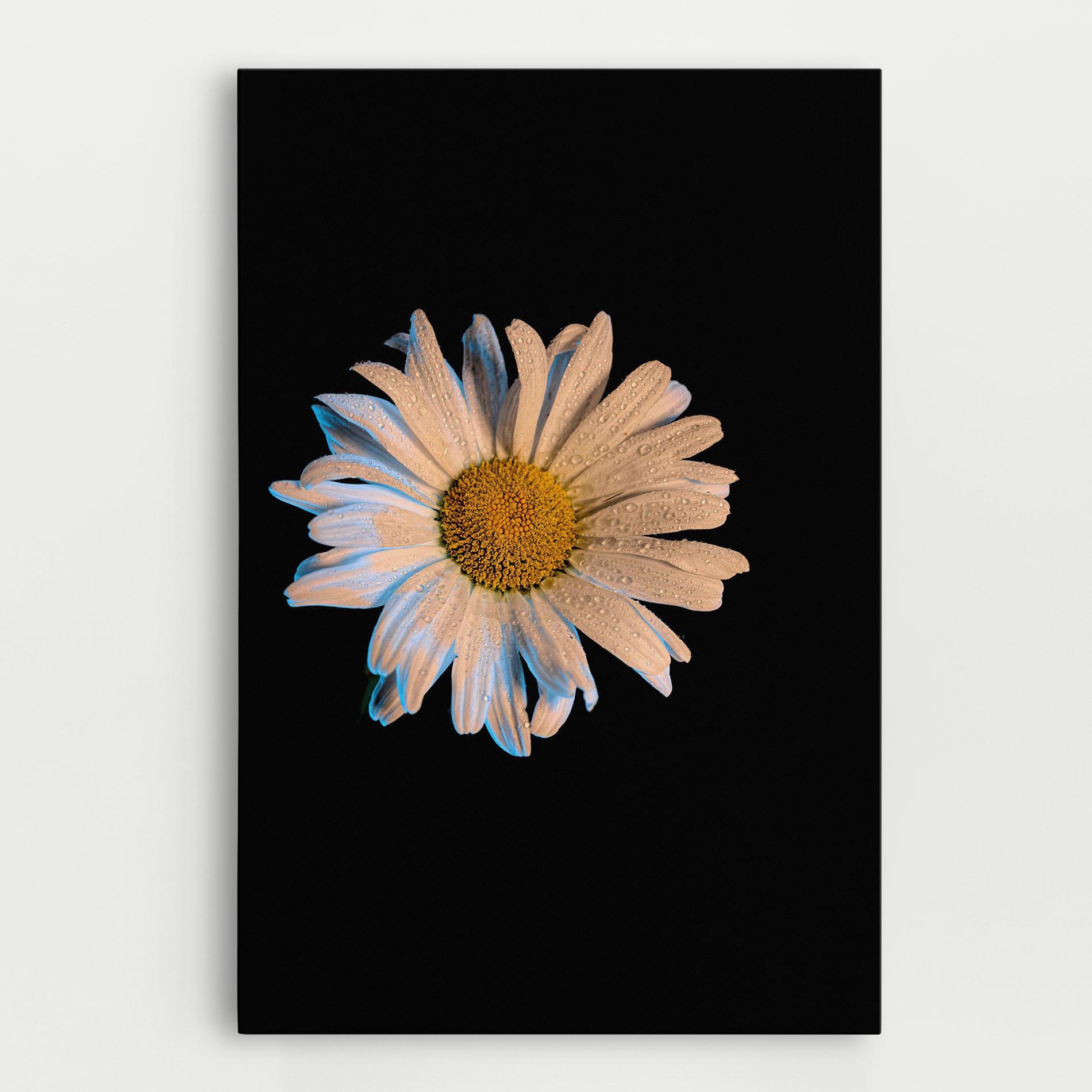 Tablou Canvas Daisy mockup 0