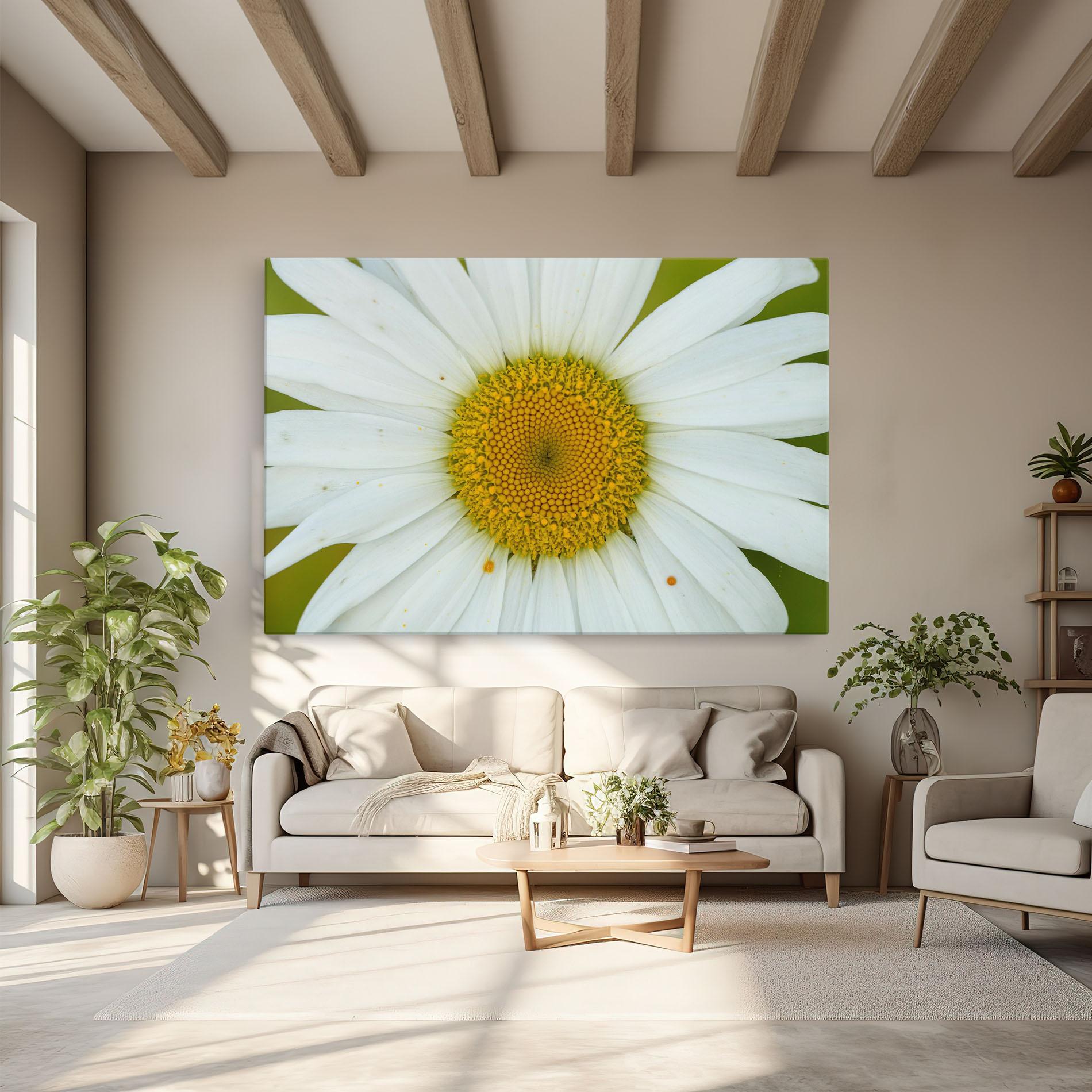 Tablou Canvas Daisy Close Up mockup 6