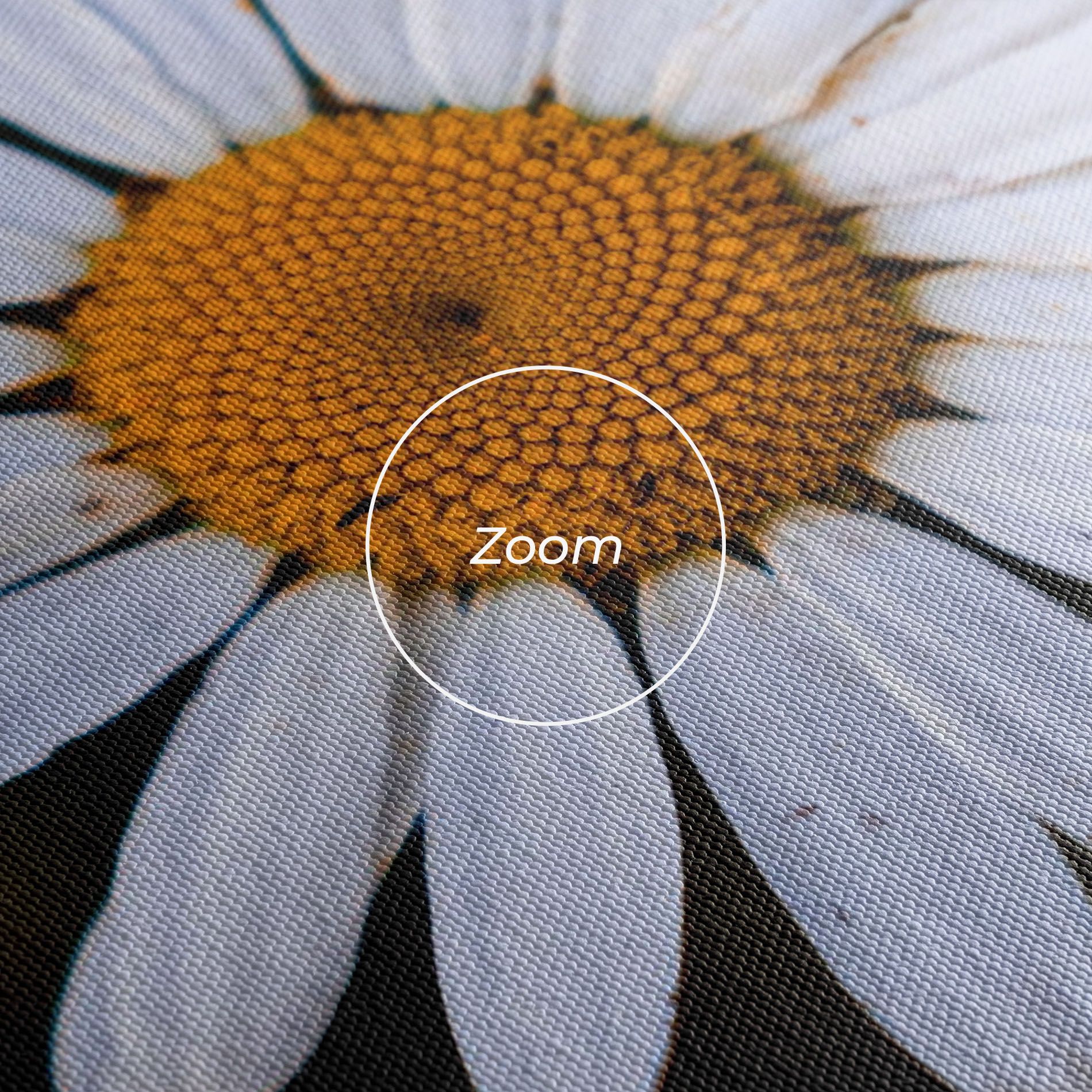 Big Yellow Center Daisy mockup 3