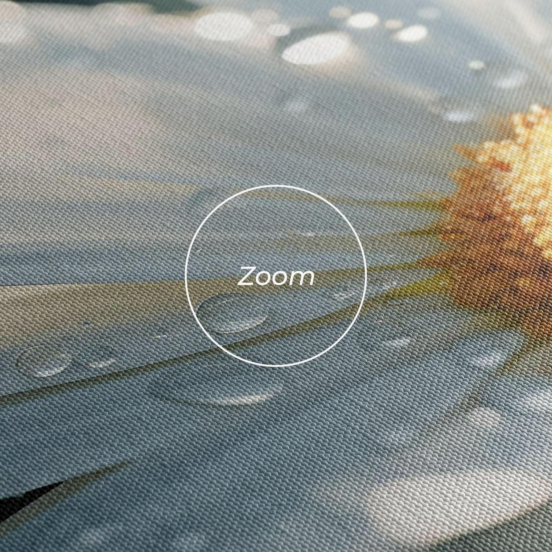 Tablou Canvas Daisy After Rain Close Up mockup 3