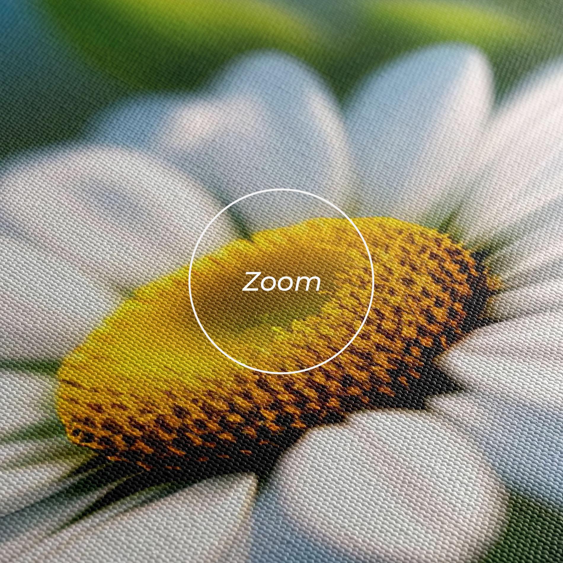 Tablou Canvas Daisy In The Sun mockup 3