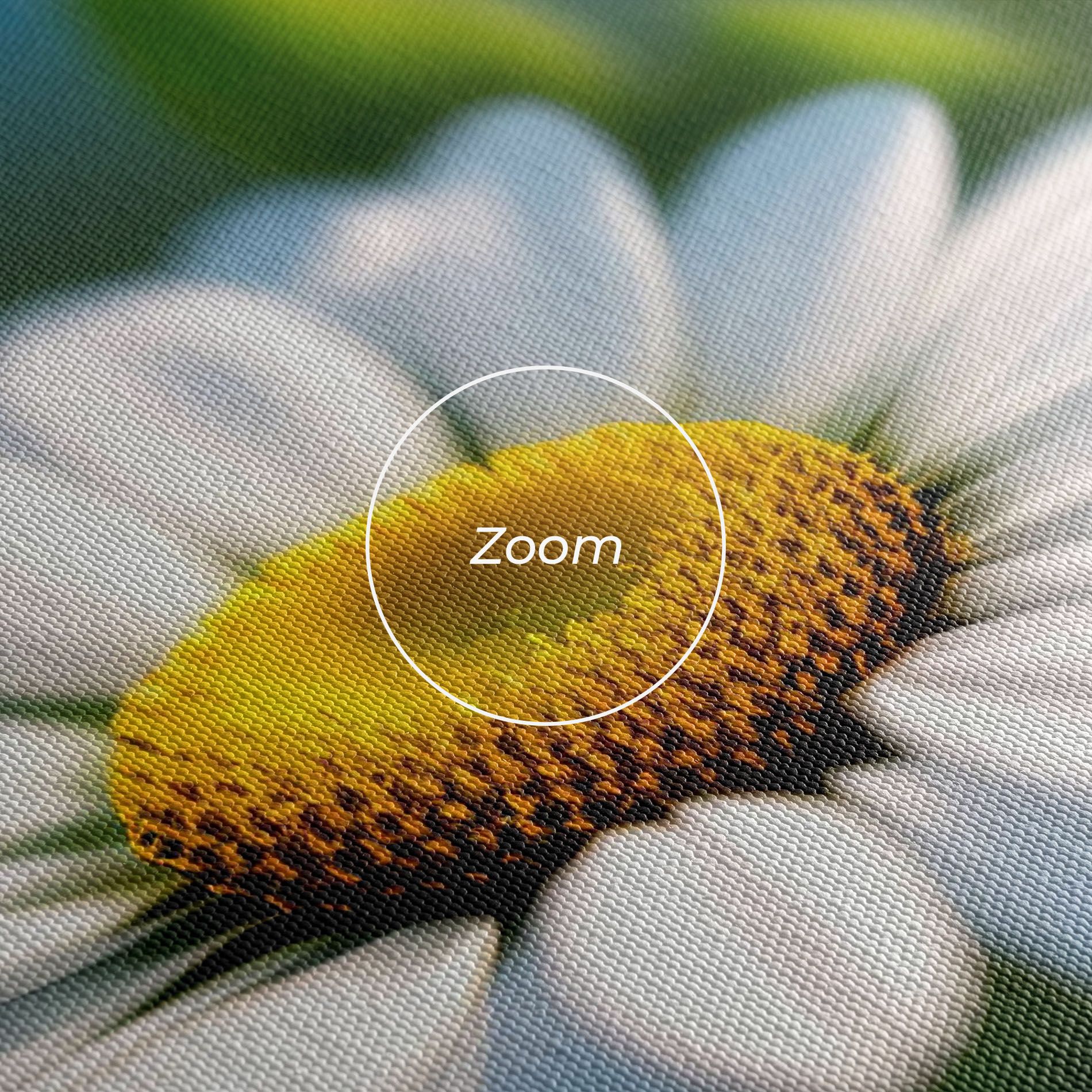 Daisy In The Sun mockup 3