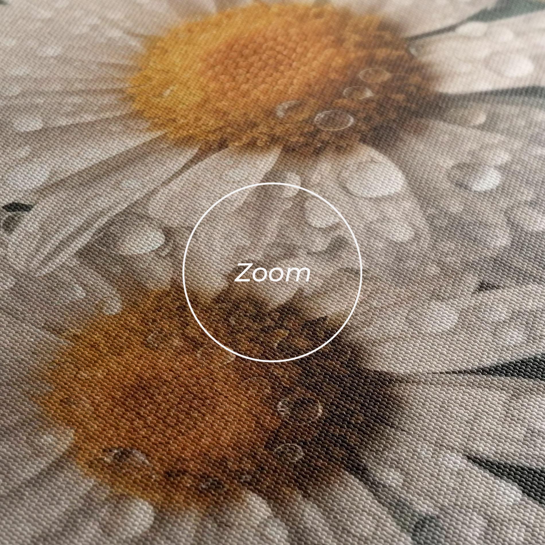 Tablou Canvas Daisy View After Rain mockup 3