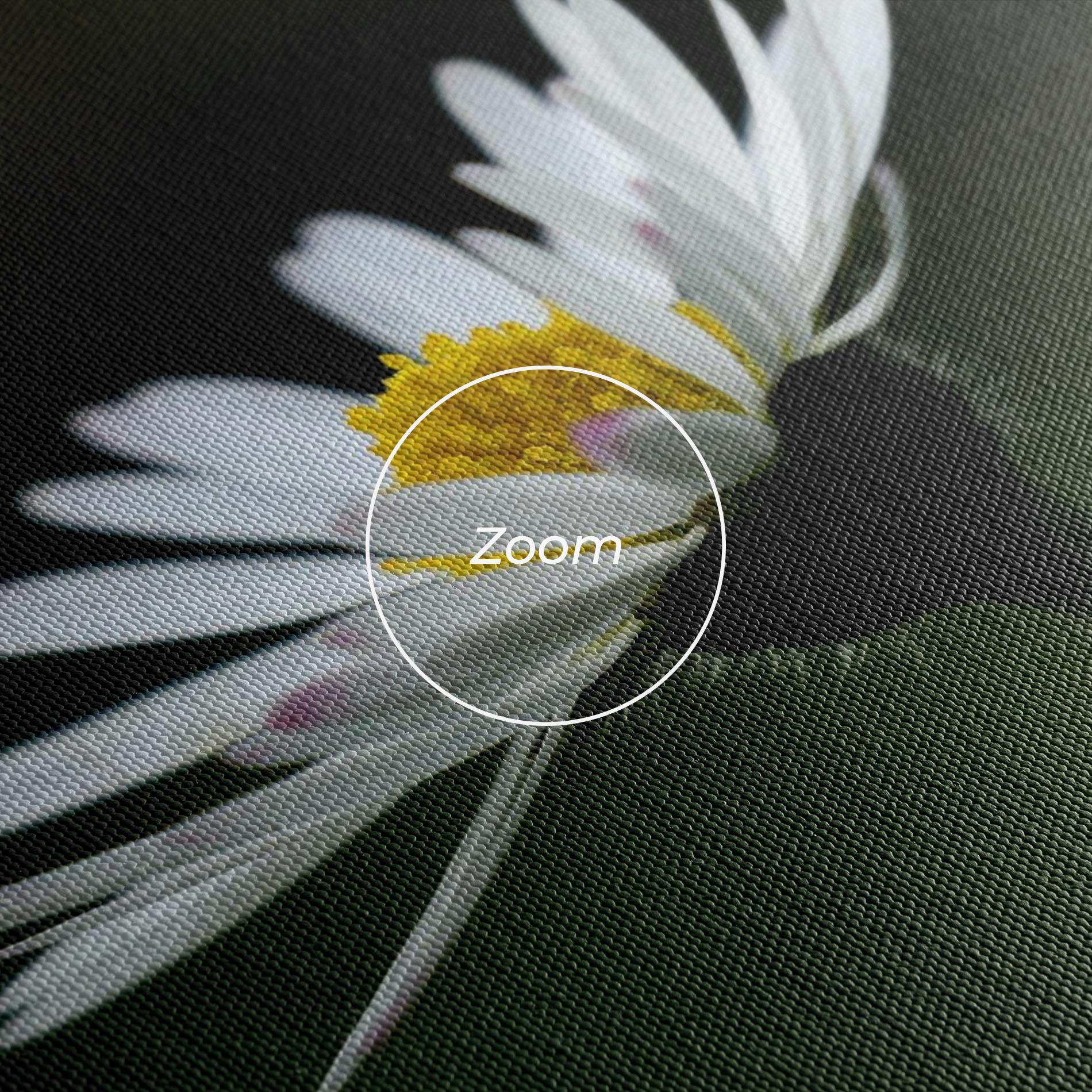 Tablou Canvas Garden Daisy mockup 3