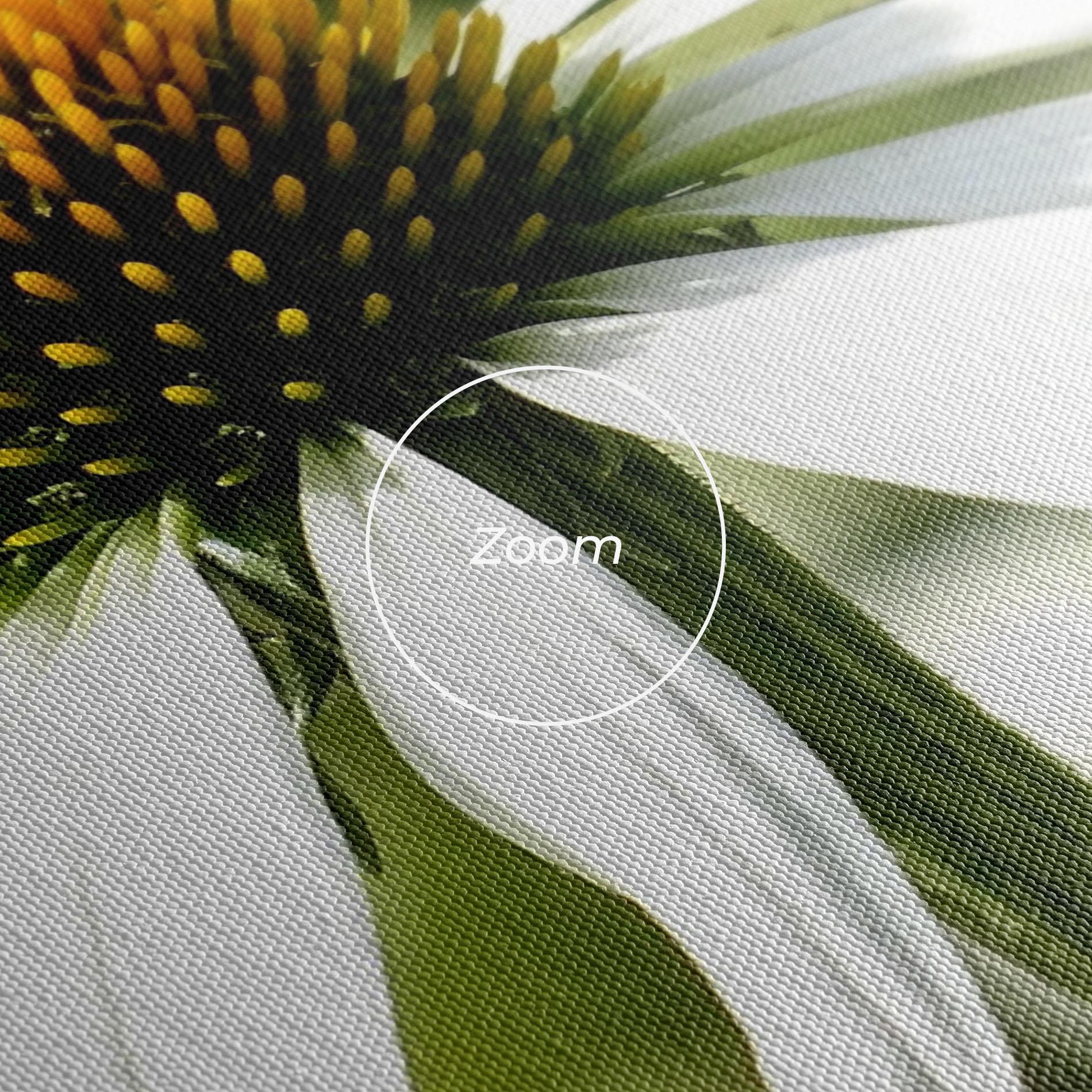 Tablou Canvas Green Daisy mockup 3