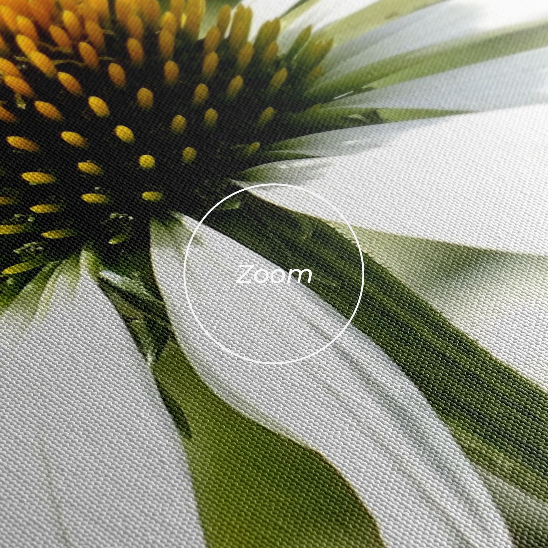 Green Daisy mockup 3