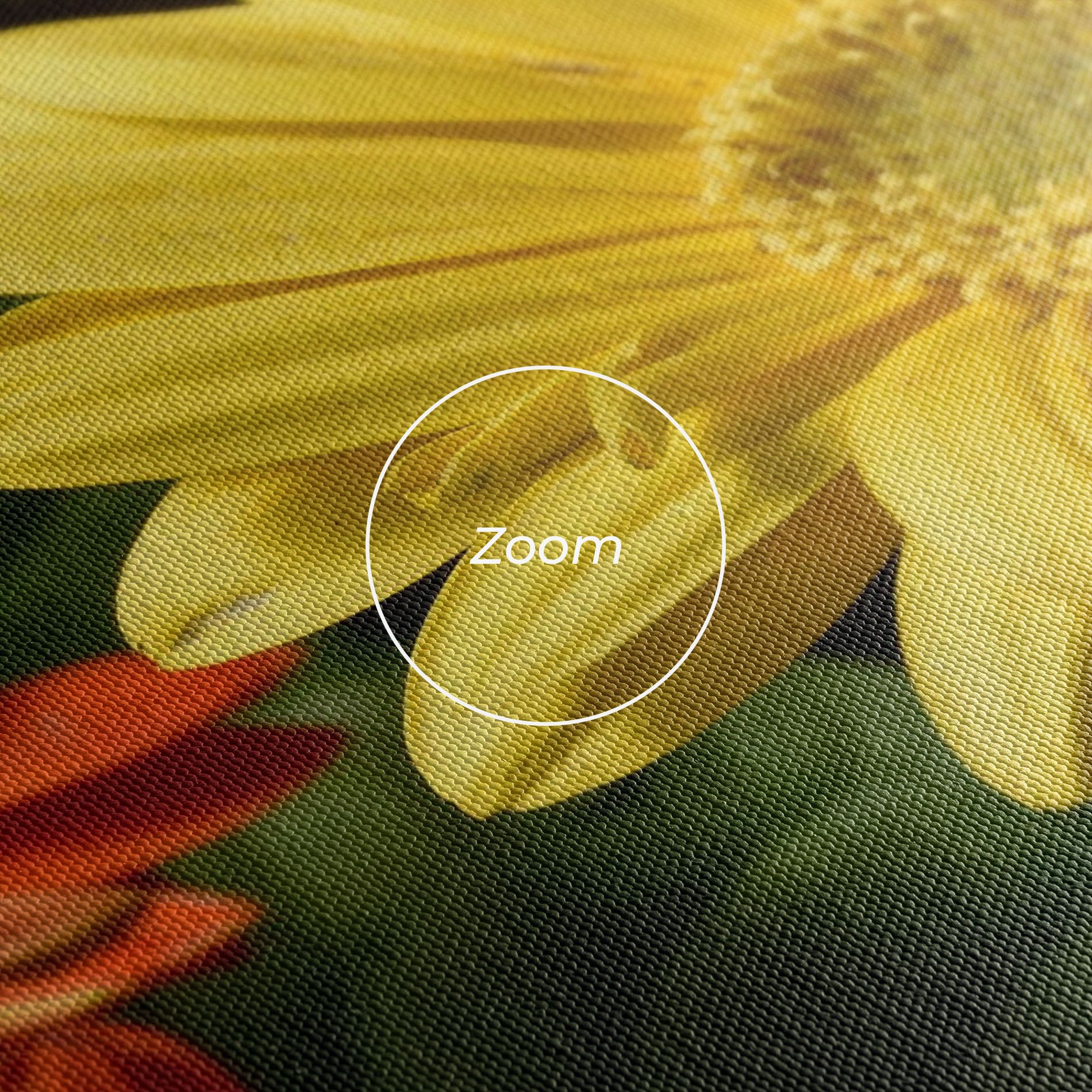 Orange Yellow Daisy mockup 3