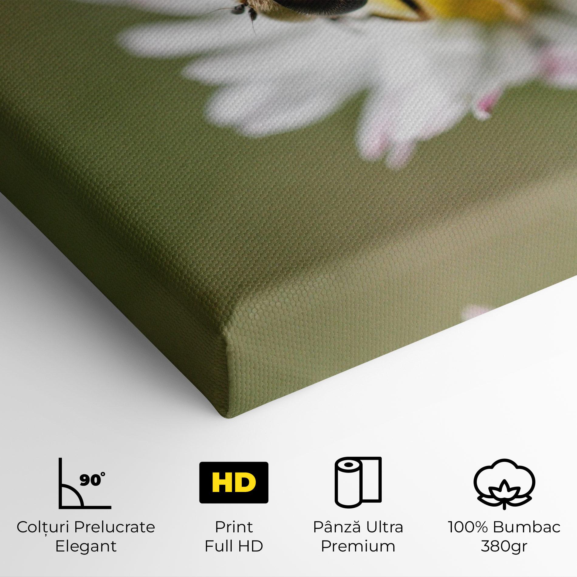Tablou Canvas Bee On Small Daisy mockup 4