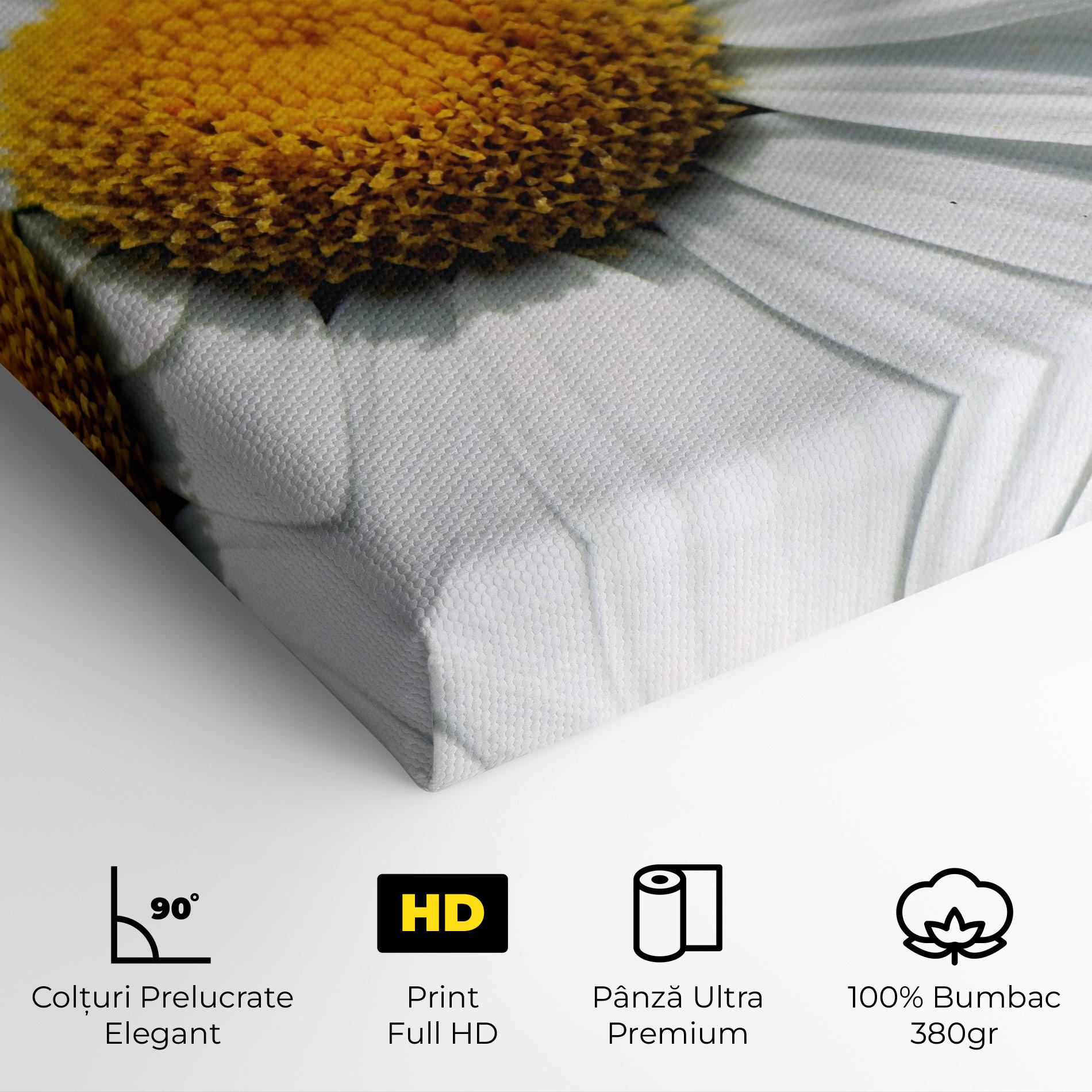 Tablou Canvas Big Daisies mockup 4