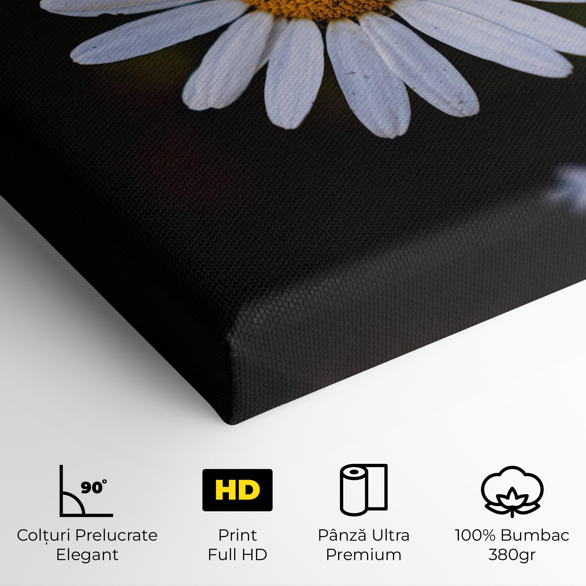 Tablou Canvas Big Yellow Center Daisy mockup 4