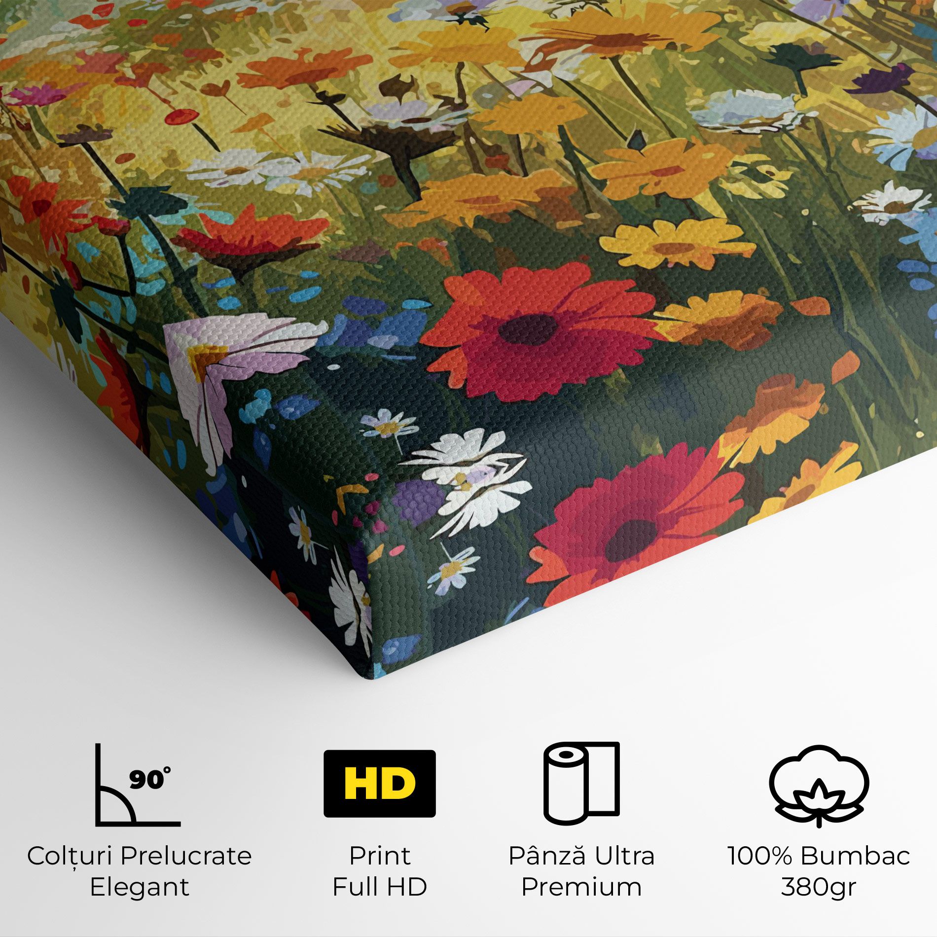 Colorful Daisy Mix mockup 4
