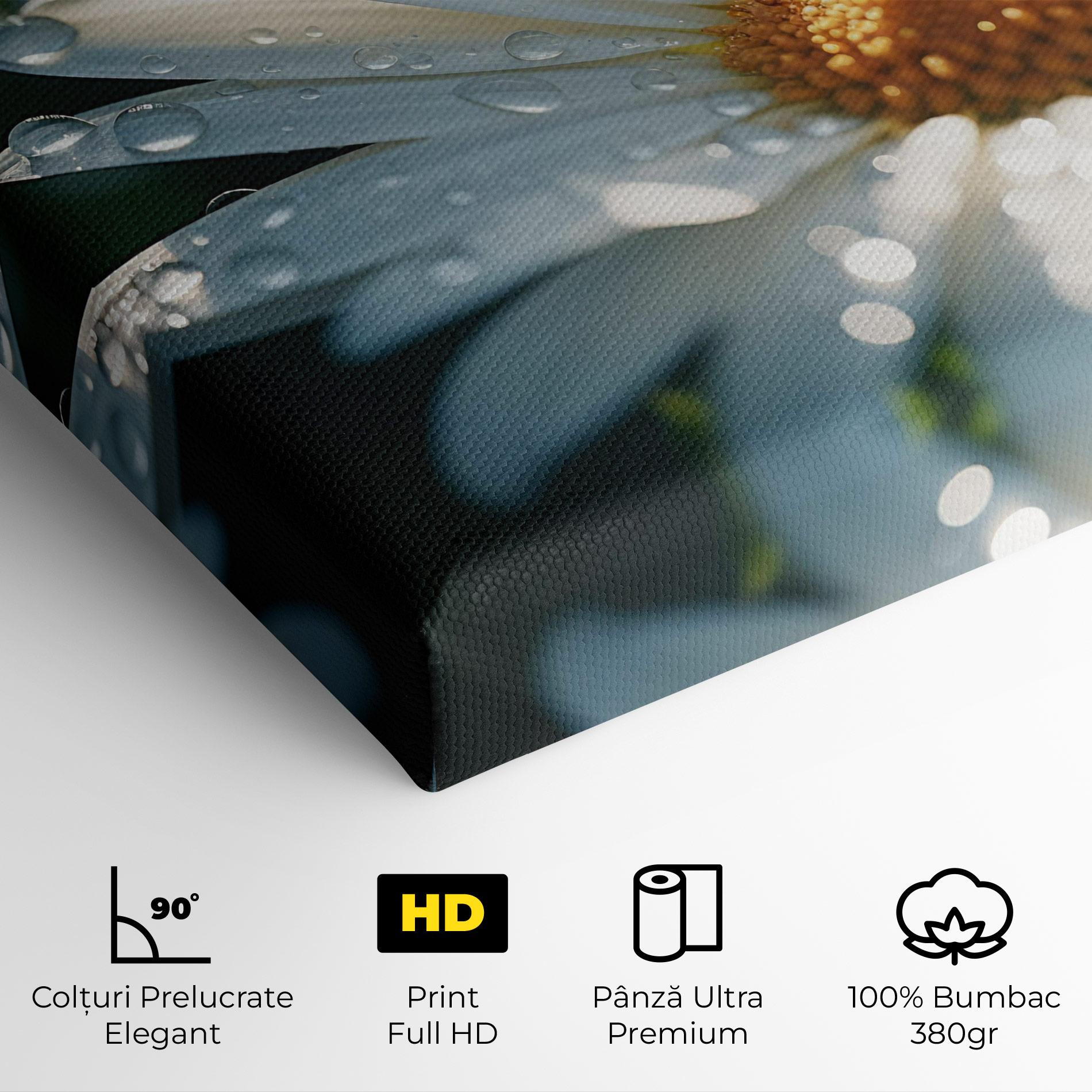 Tablou Canvas Daisy After Rain Close Up mockup 4