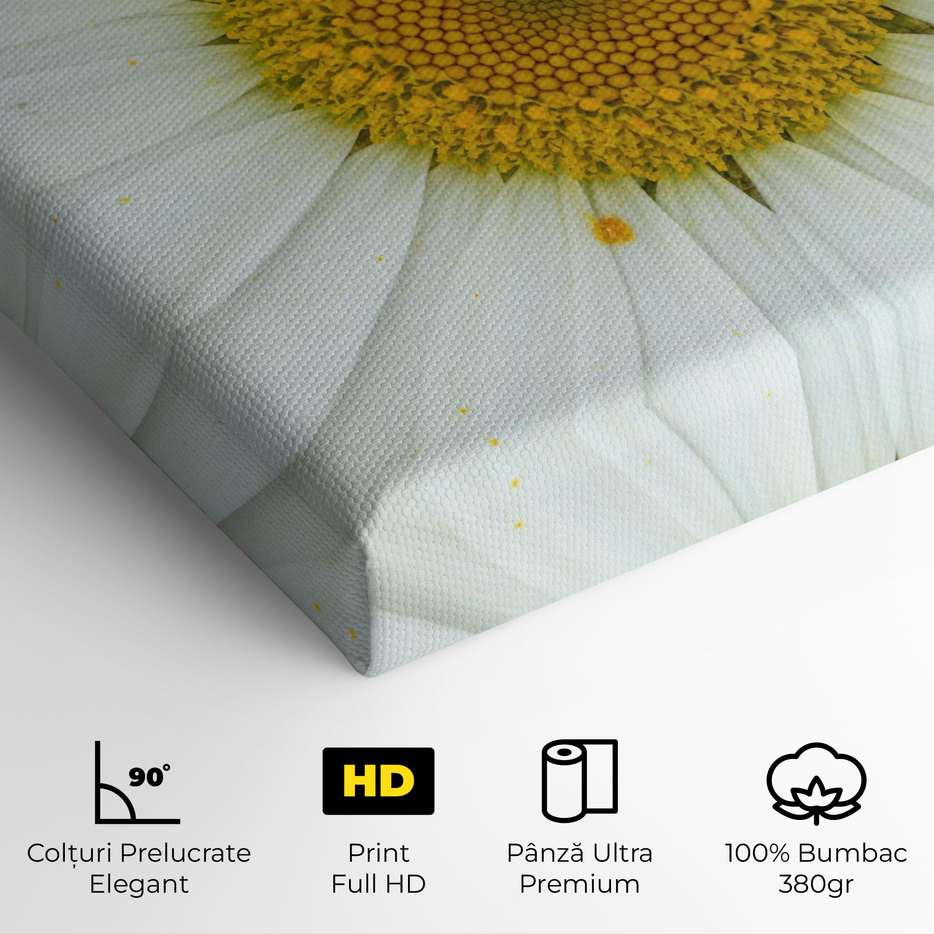 Tablou Canvas Daisy Close Up mockup 4