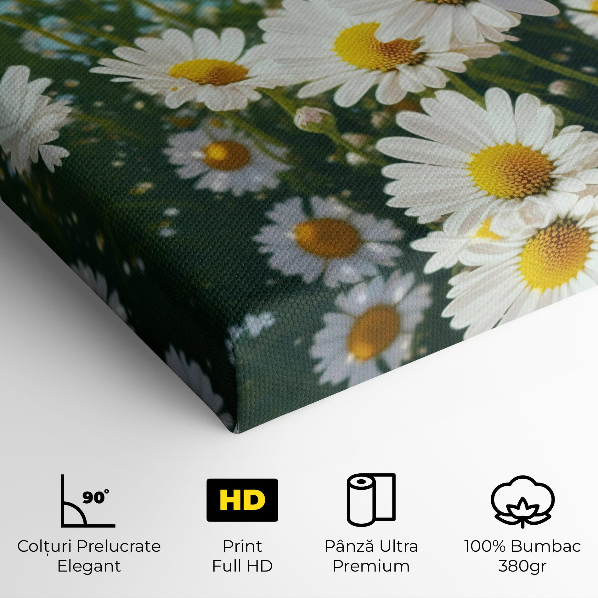 Tablou Canvas Daisy Field View mockup 4