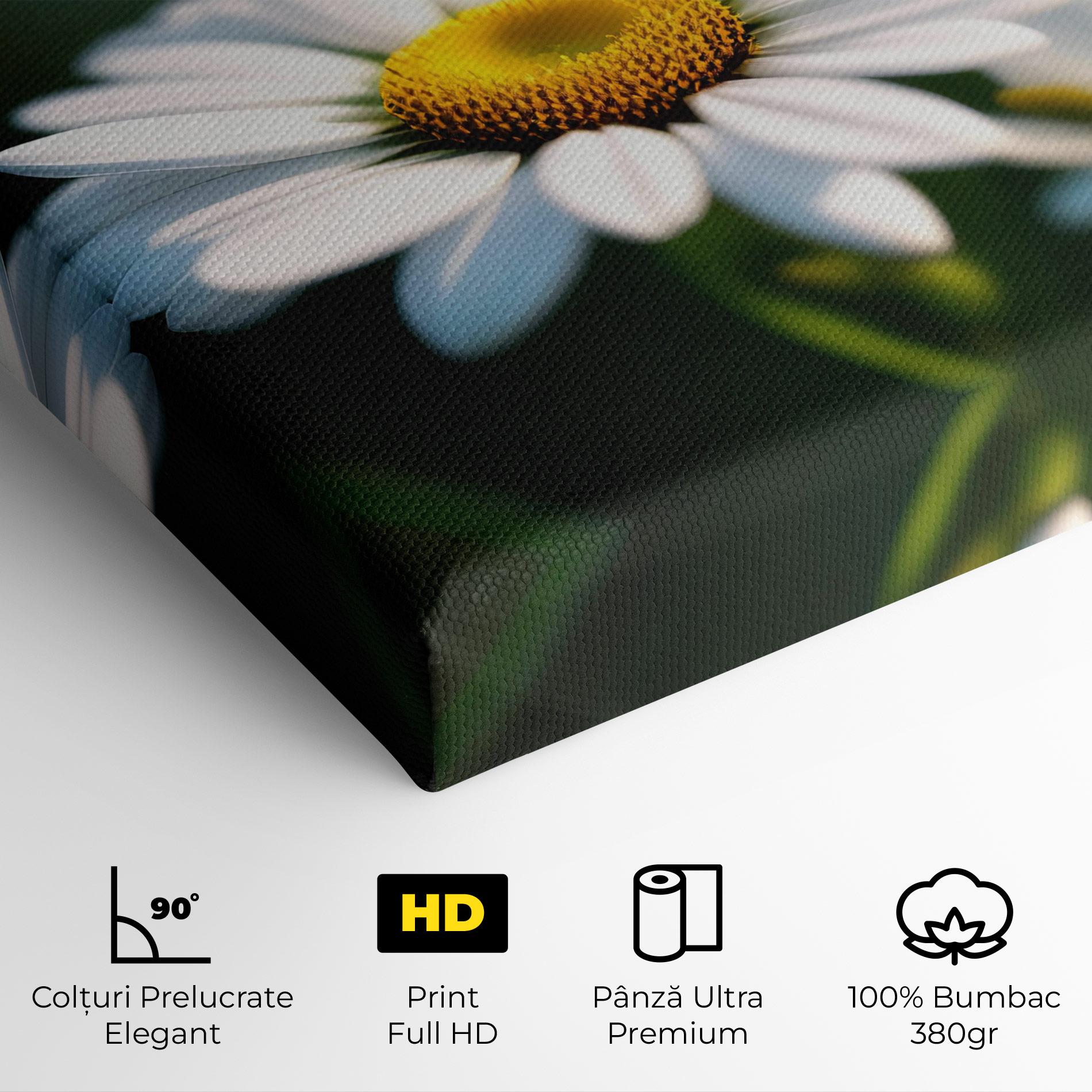 Tablou Canvas Daisy In The Sun mockup 4