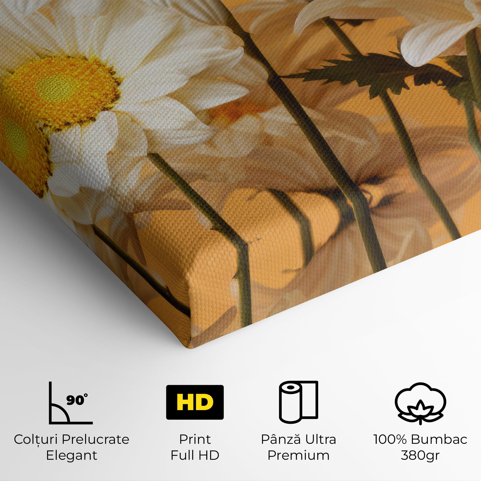 Tablou Canvas Daisy On Orange mockup 4