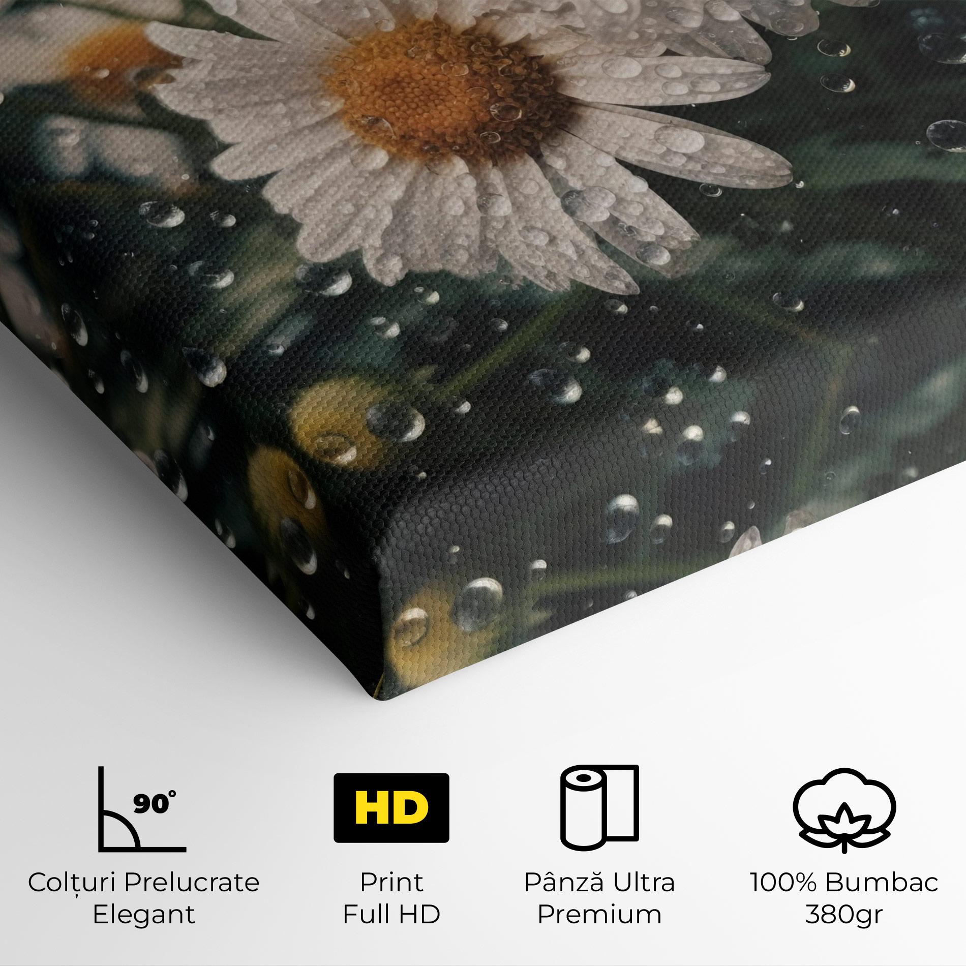 Tablou Canvas Daisy View After Rain mockup 4