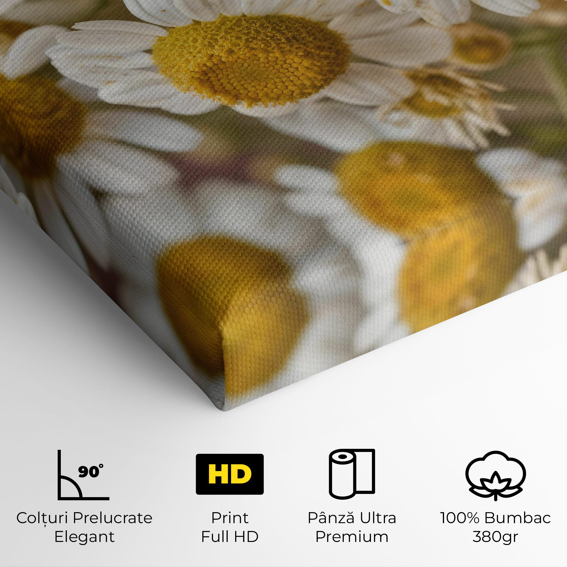 Tablou Canvas Daisy Wall mockup 4