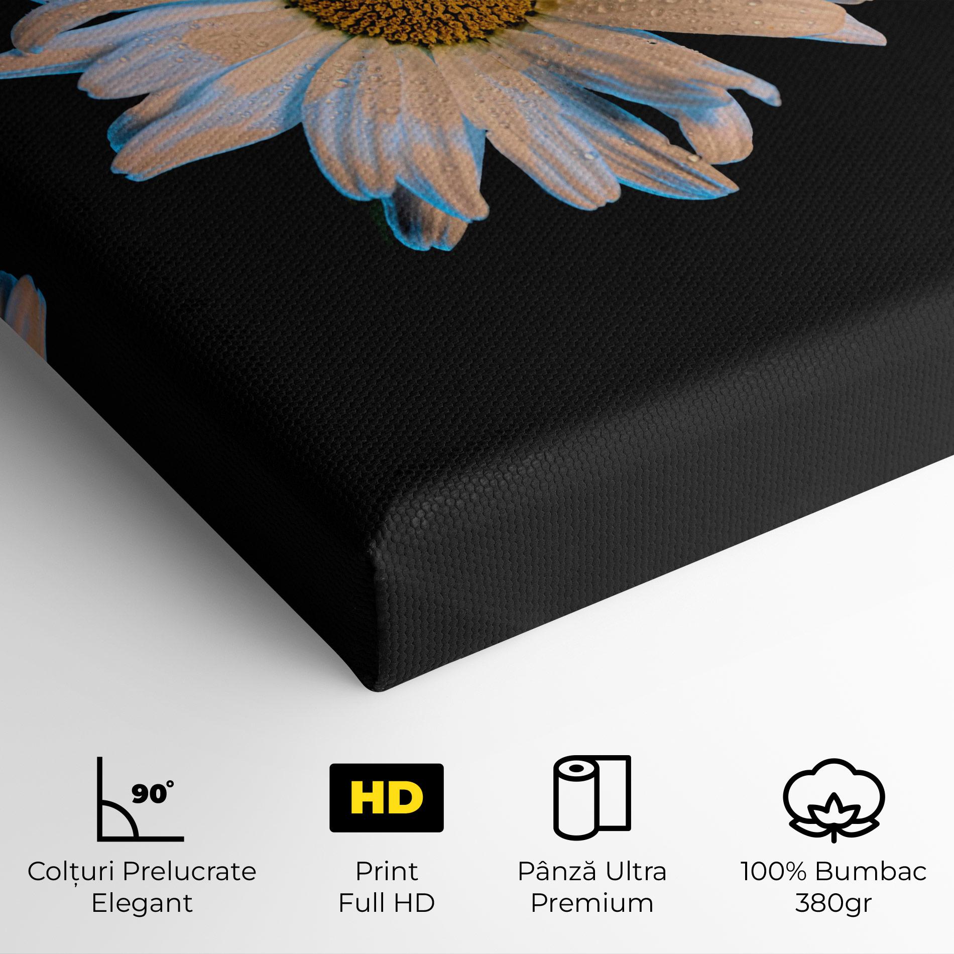 Tablou Canvas Daisy mockup 4