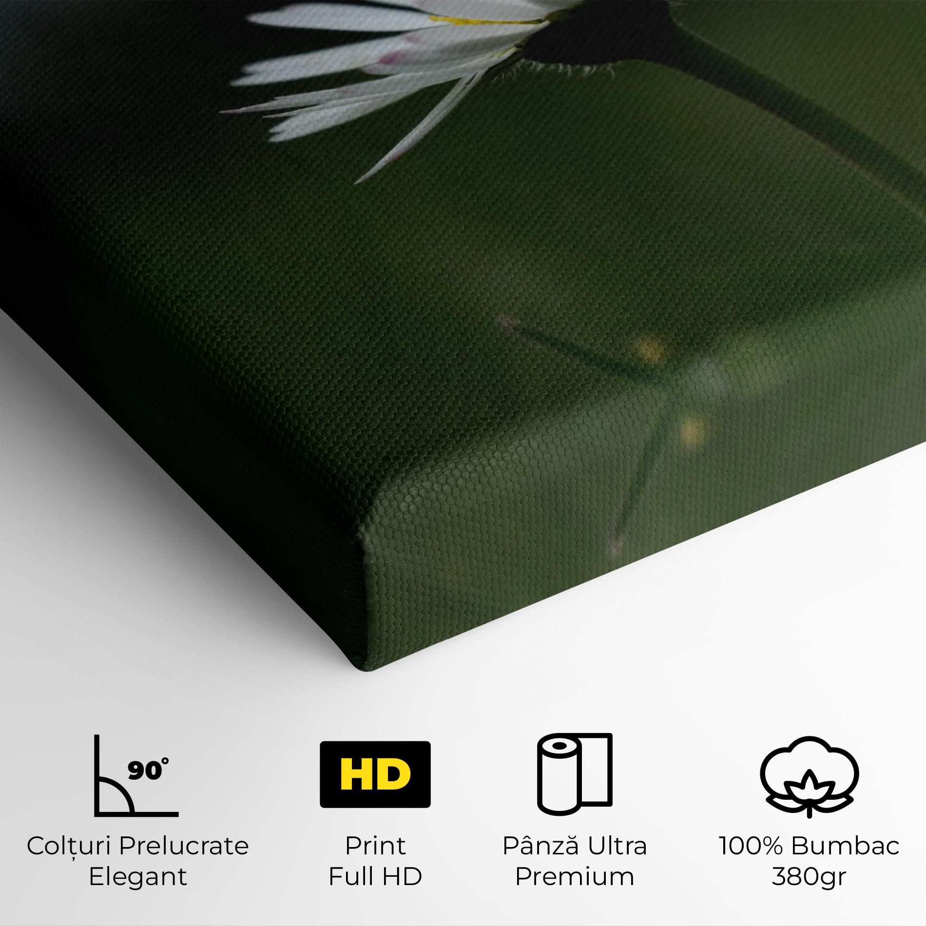 Tablou Canvas Garden Daisy mockup 4