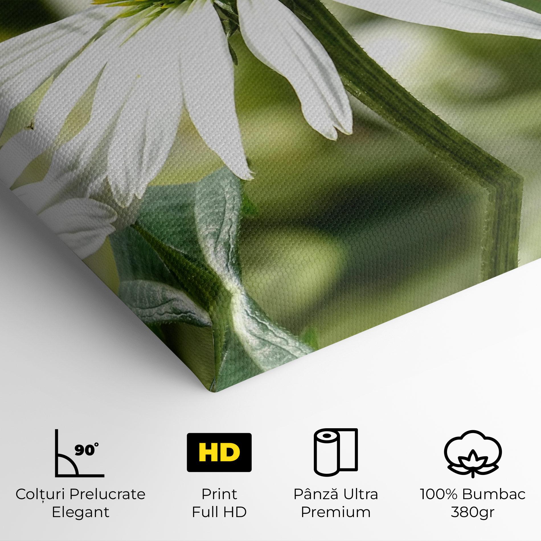Tablou Canvas Green Daisy mockup 4