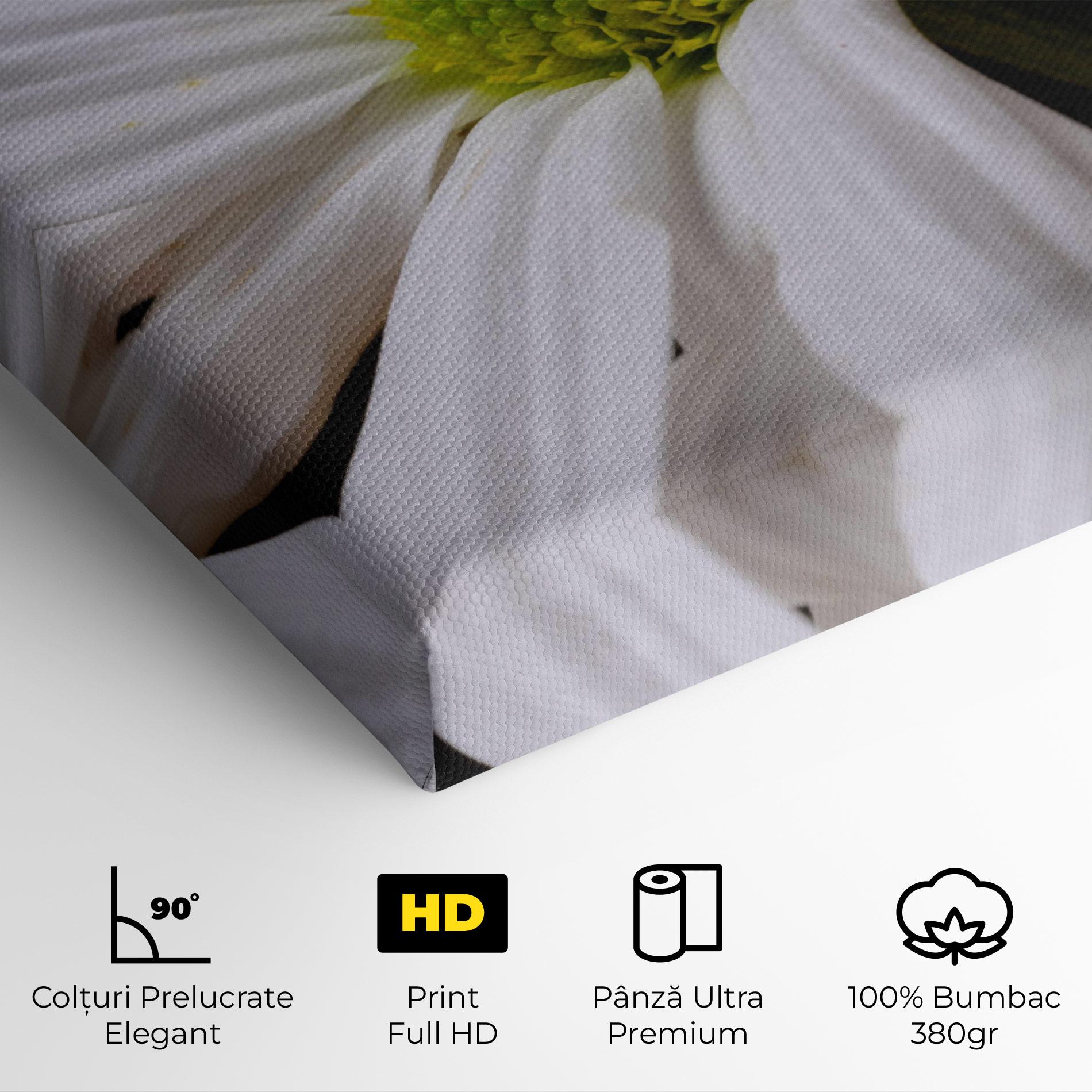 Tablou Canvas Green Middle Daisy mockup 4