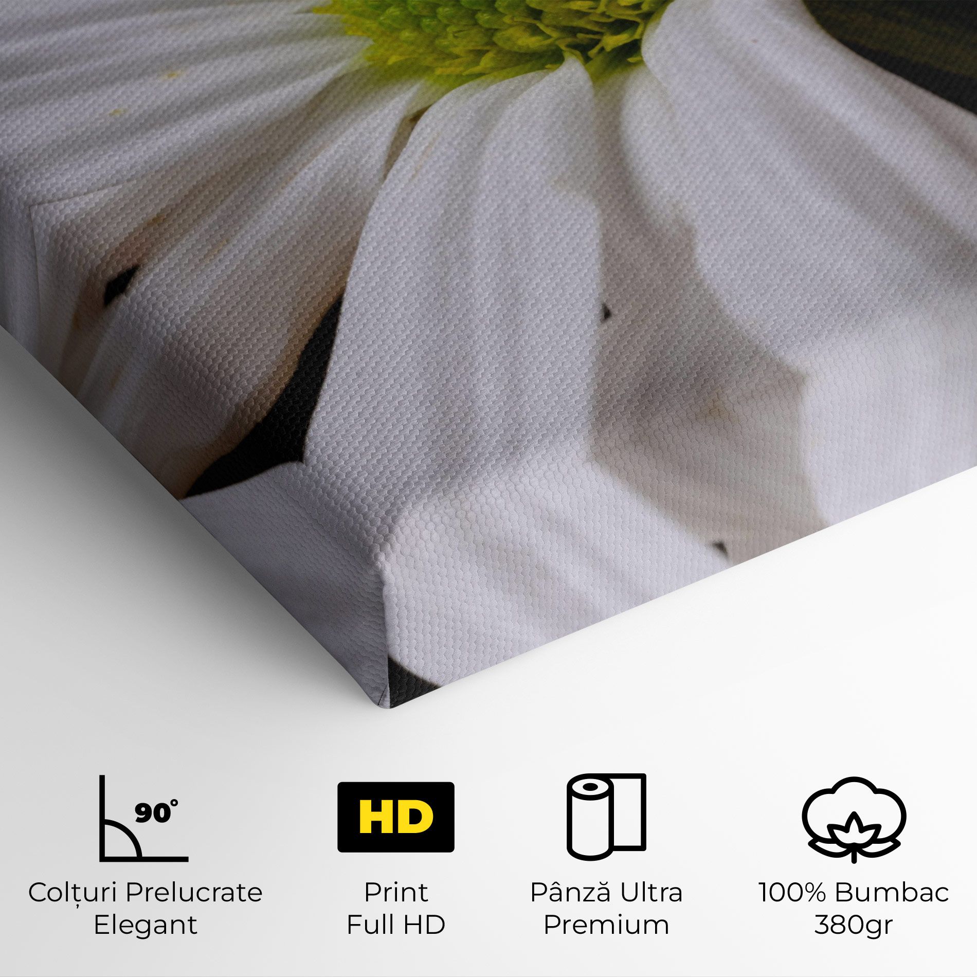 Green Middle Daisy mockup 4