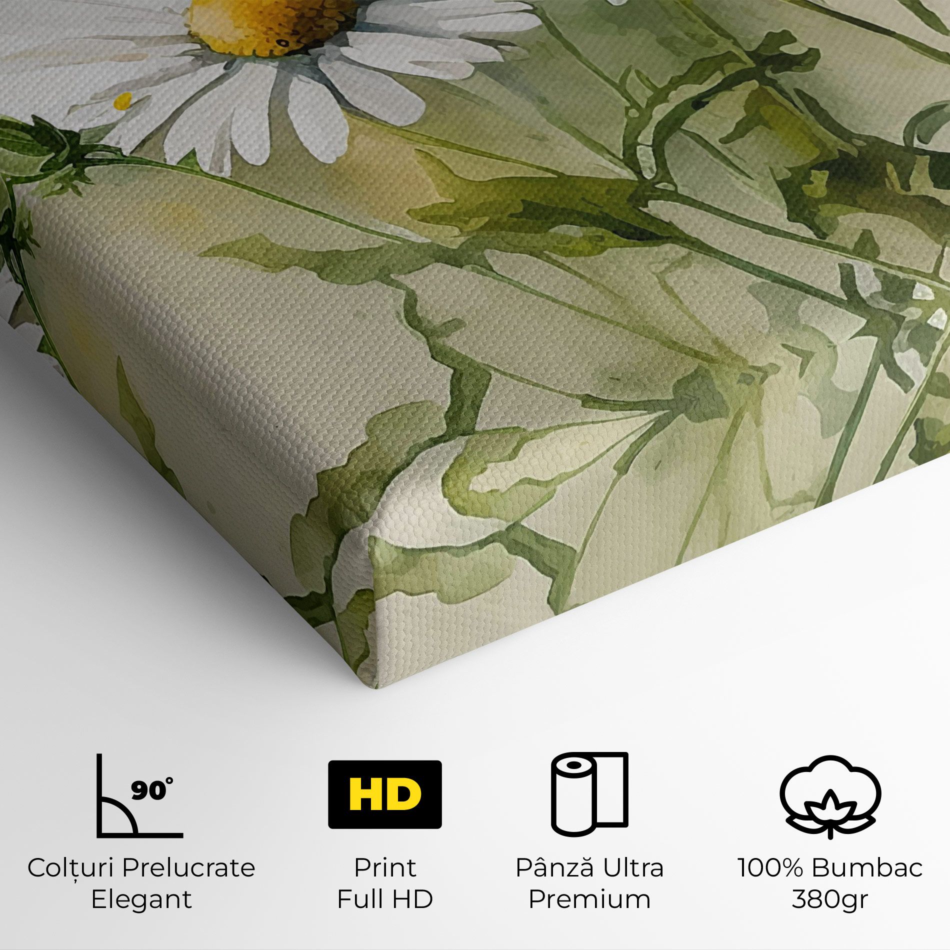 Painted Daisy mockup 4