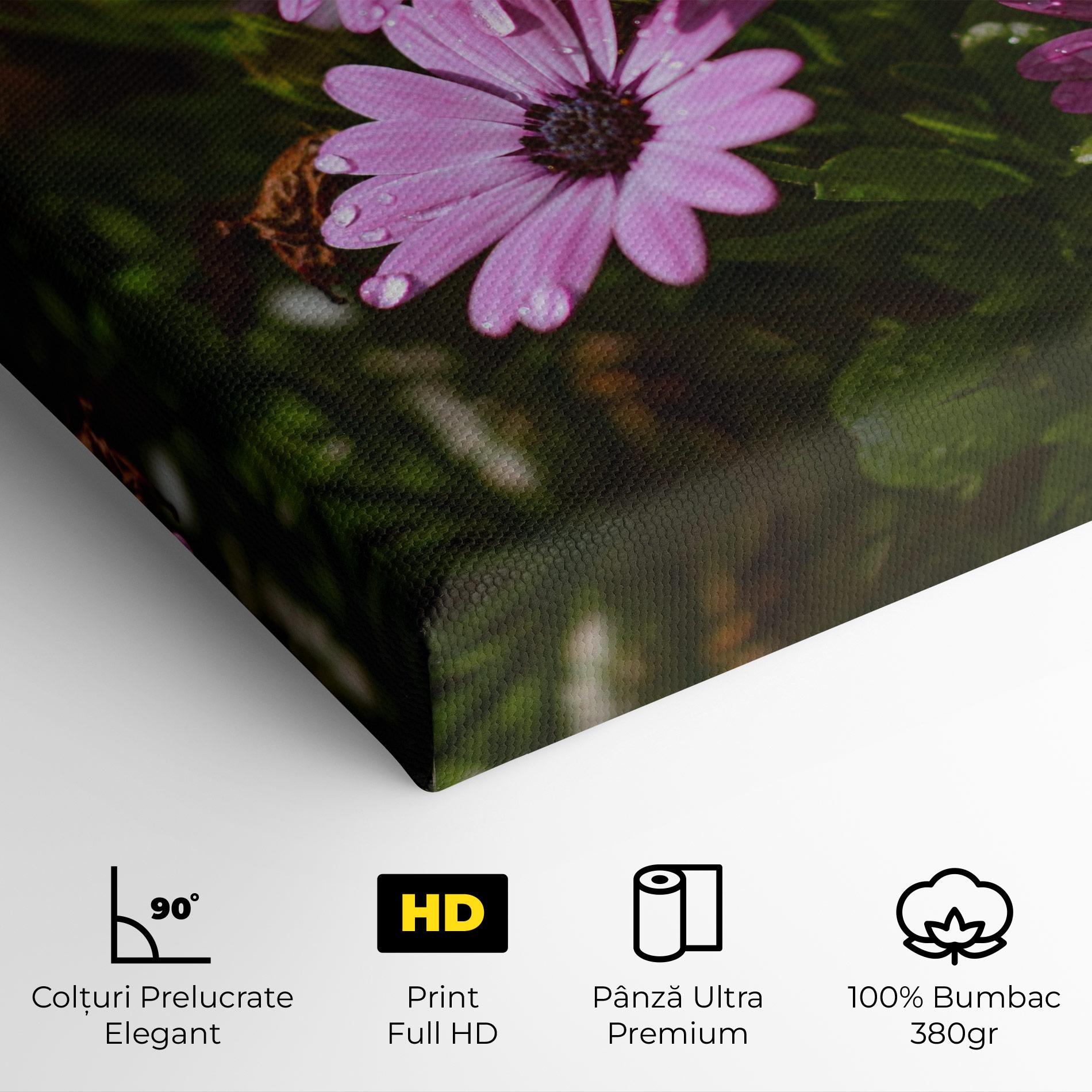 Tablou Canvas Purple Daisy mockup 4