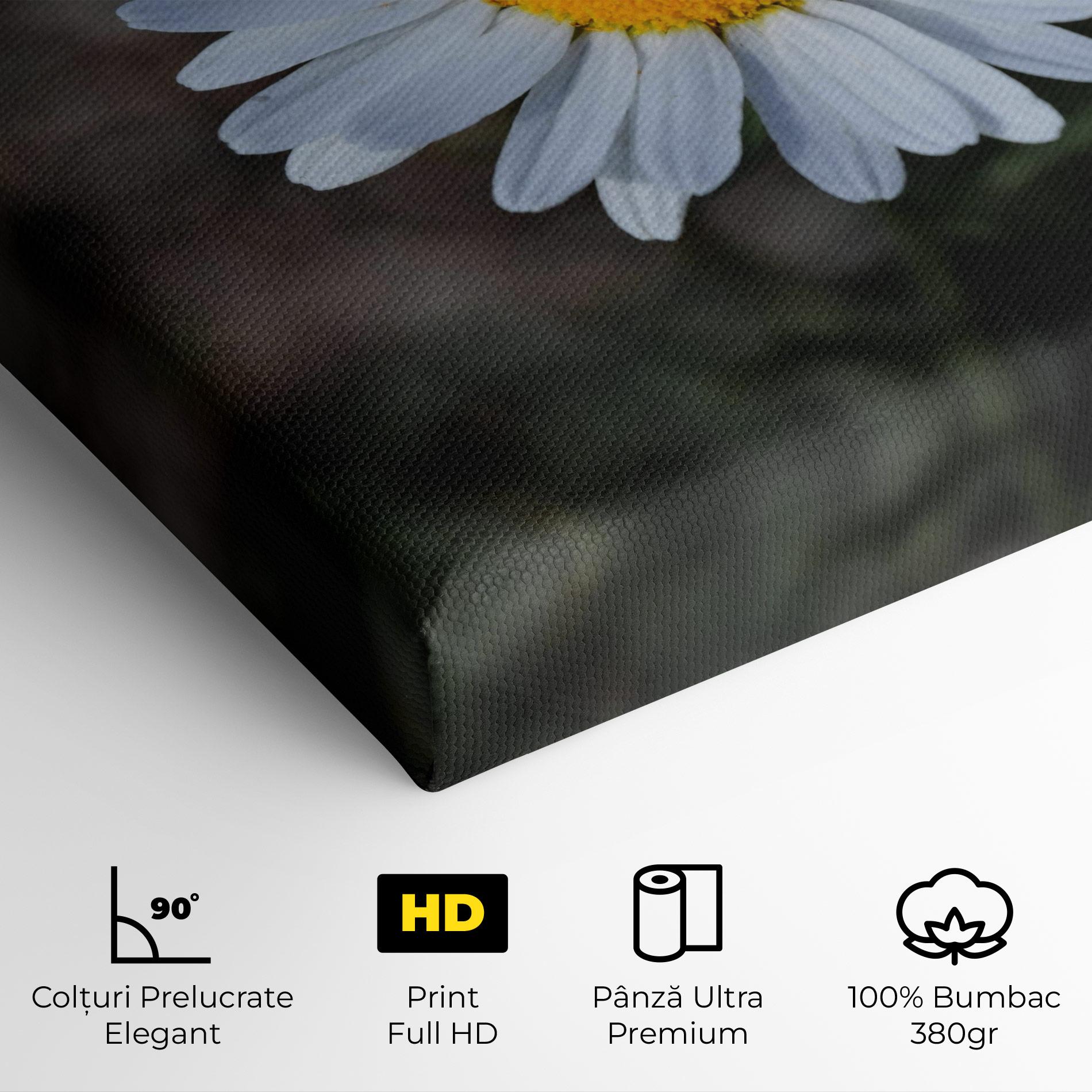 Tablou Canvas Strong Yellow Daisy mockup 4
