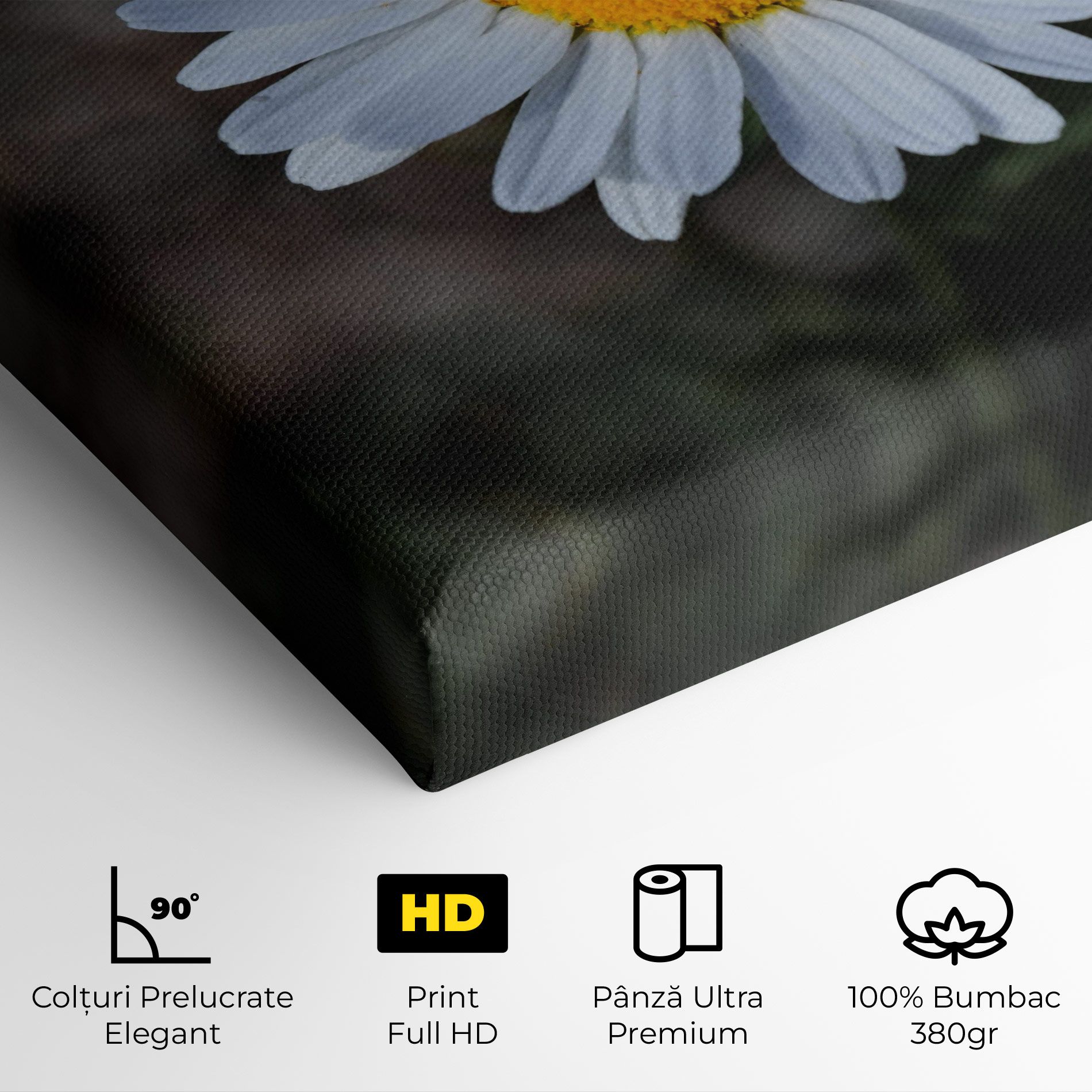 Strong Yellow Daisy mockup 4