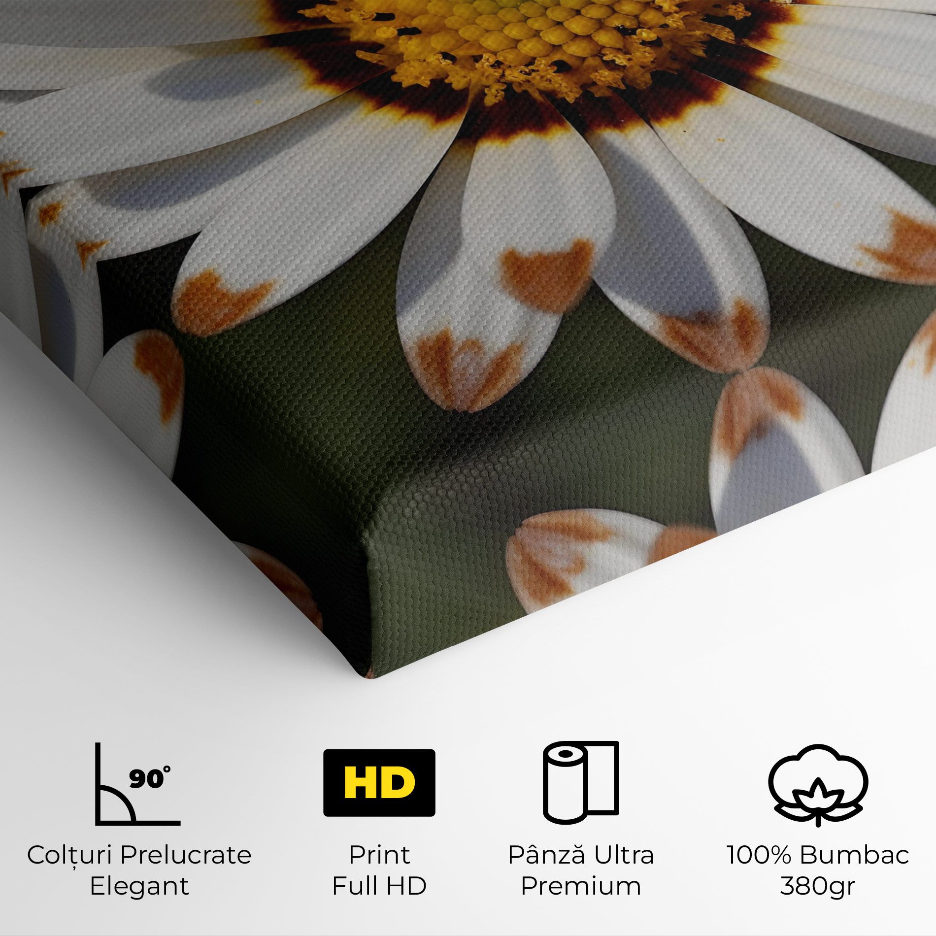 White Brown Daisy mockup 4