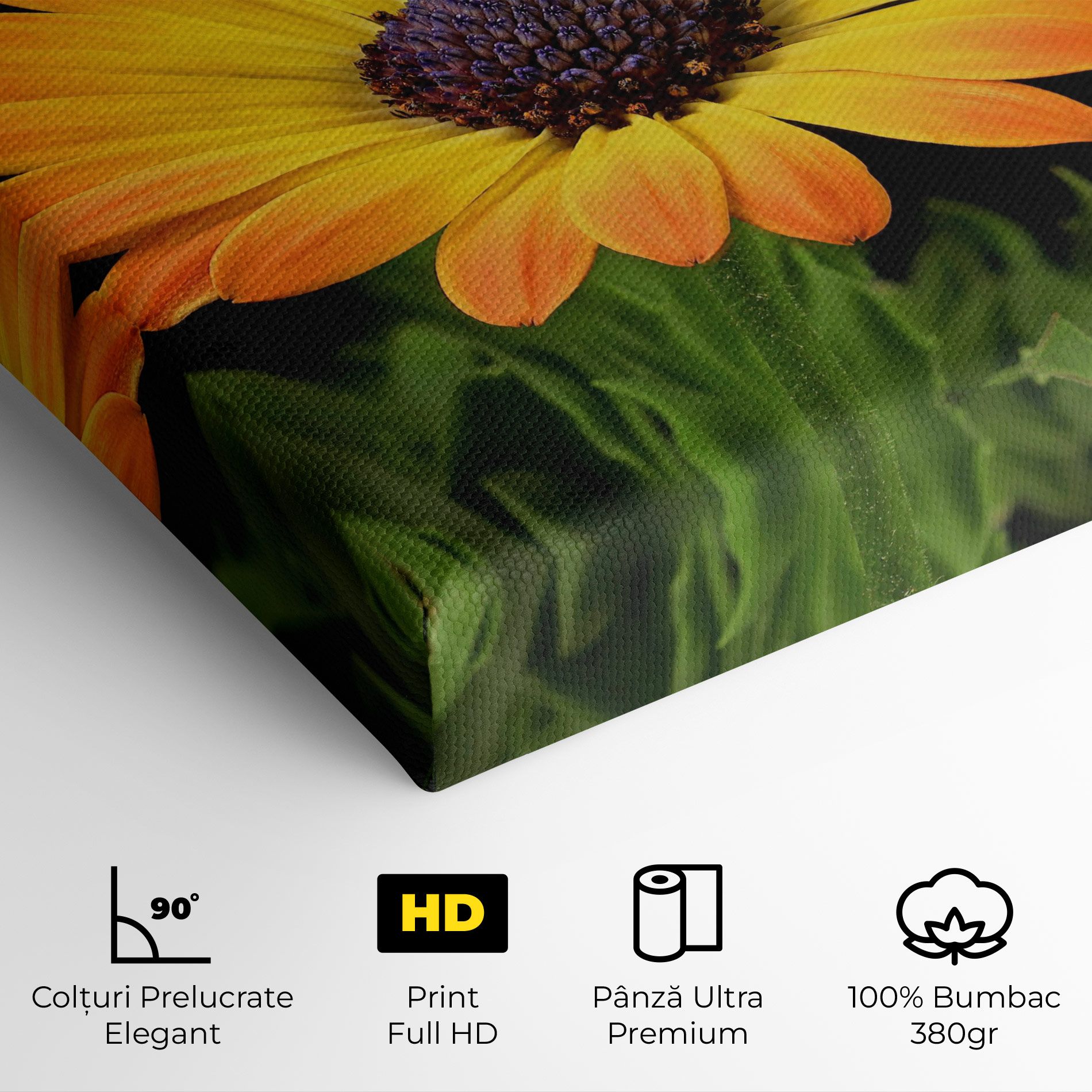 Yellow Daisy mockup 4