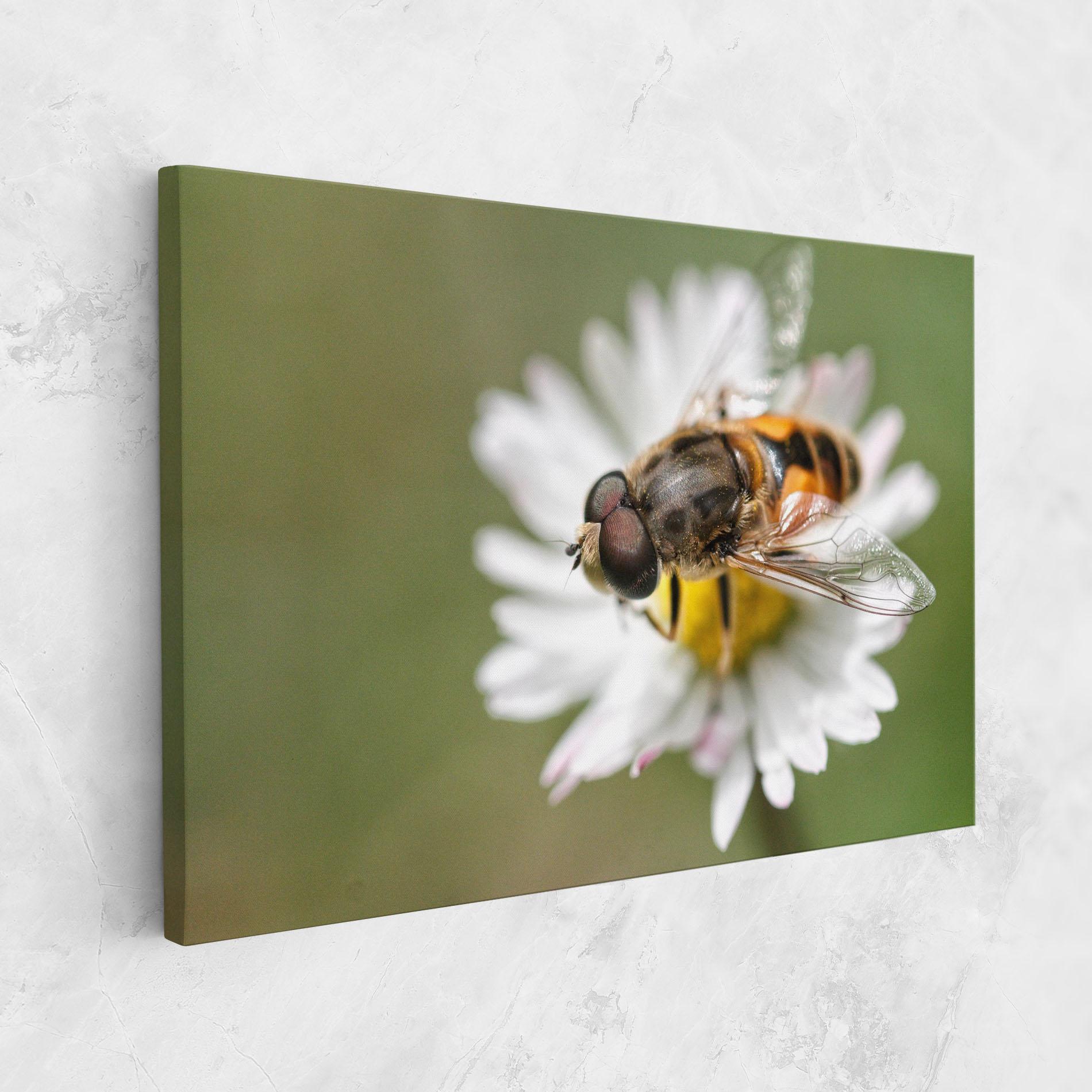Tablou Canvas Bee On Small Daisy mockup 1