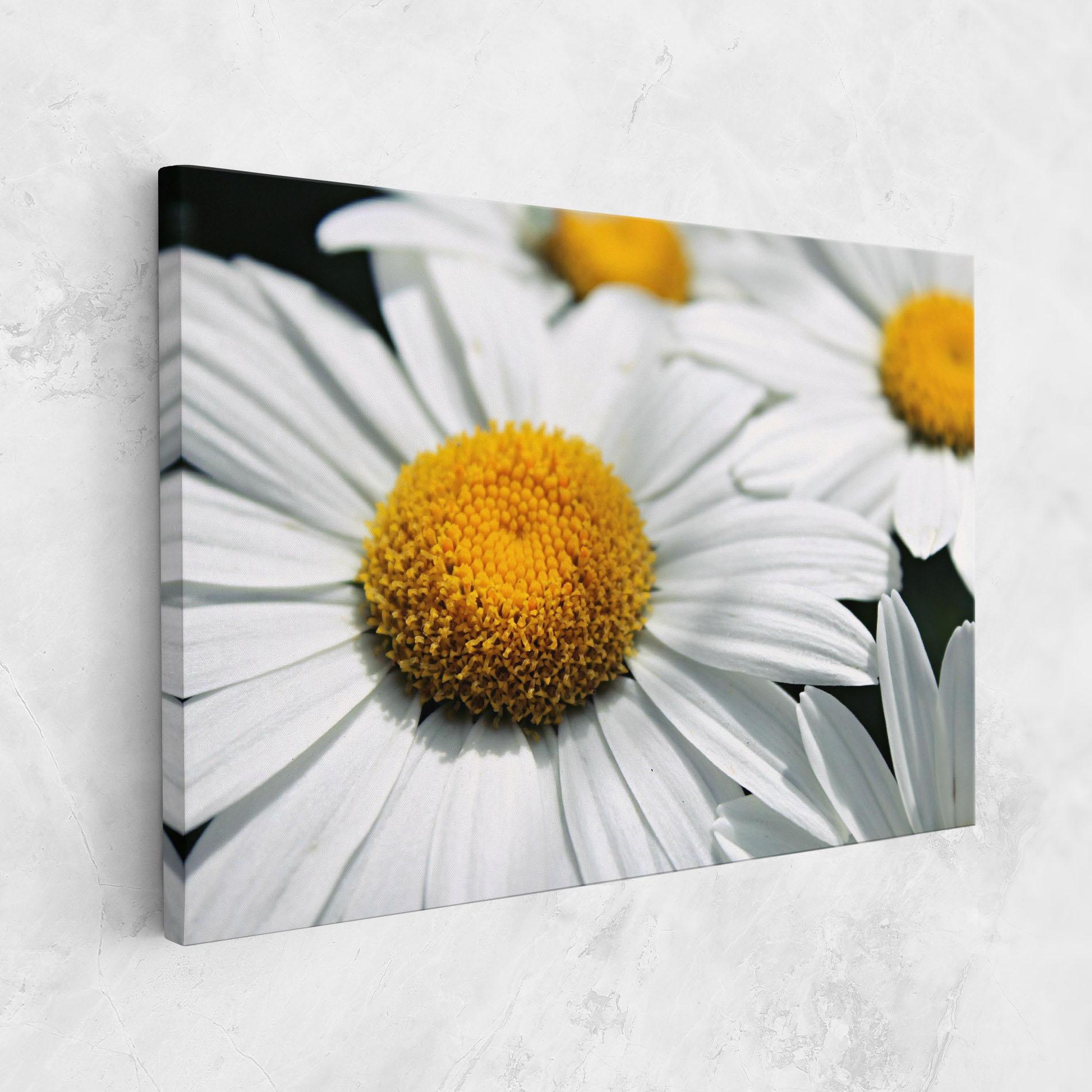 Tablou Canvas Big Daisies mockup 1