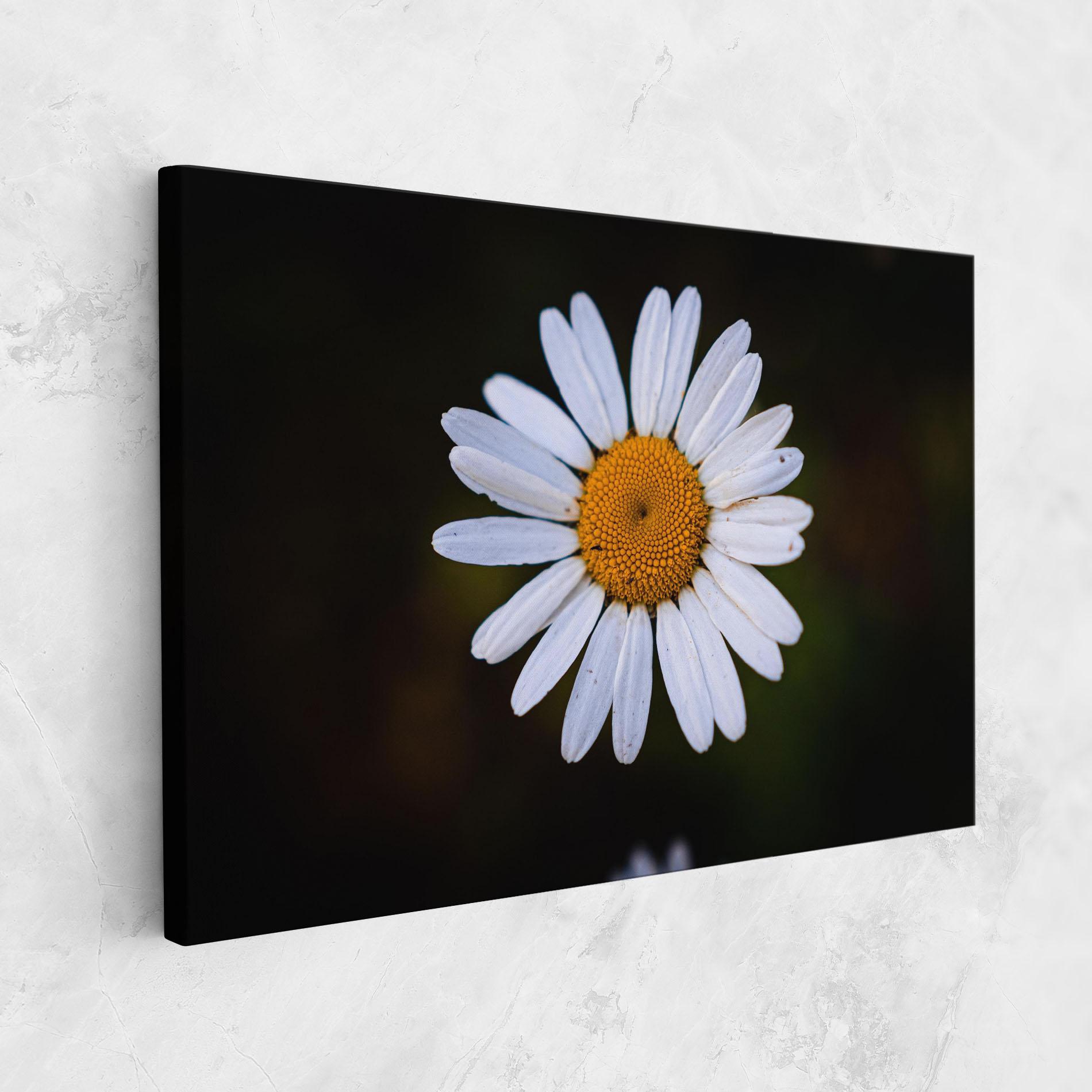 Tablou Canvas Big Yellow Center Daisy mockup 1