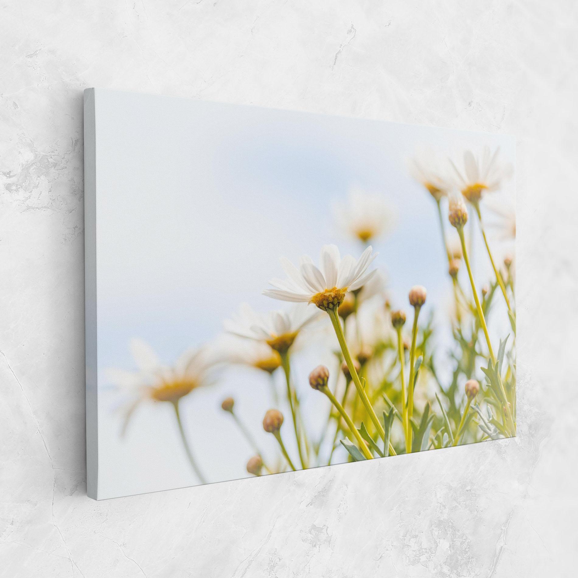 Tablou Canvas Dreamy Daisy mockup 1