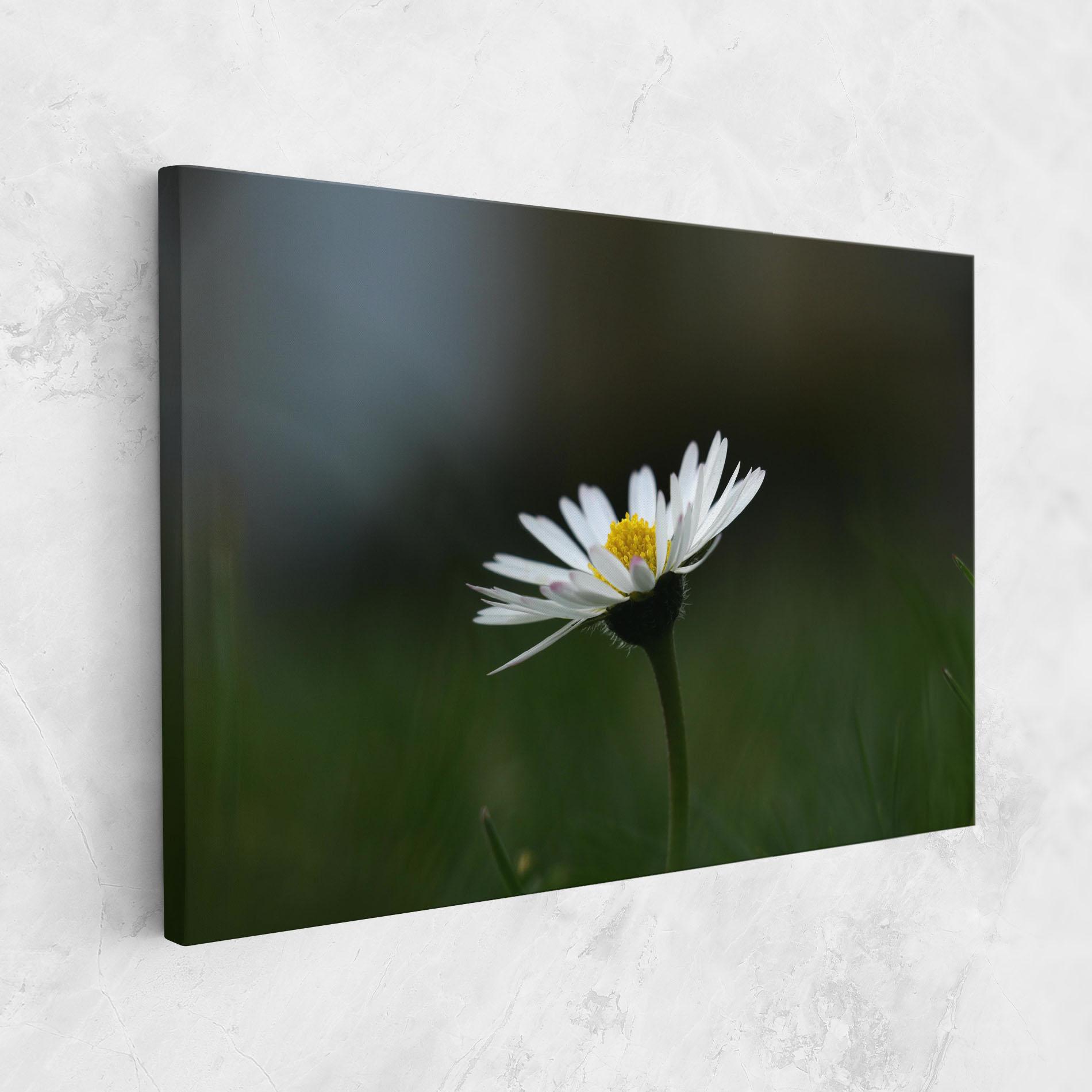 Tablou Canvas Garden Daisy mockup 1