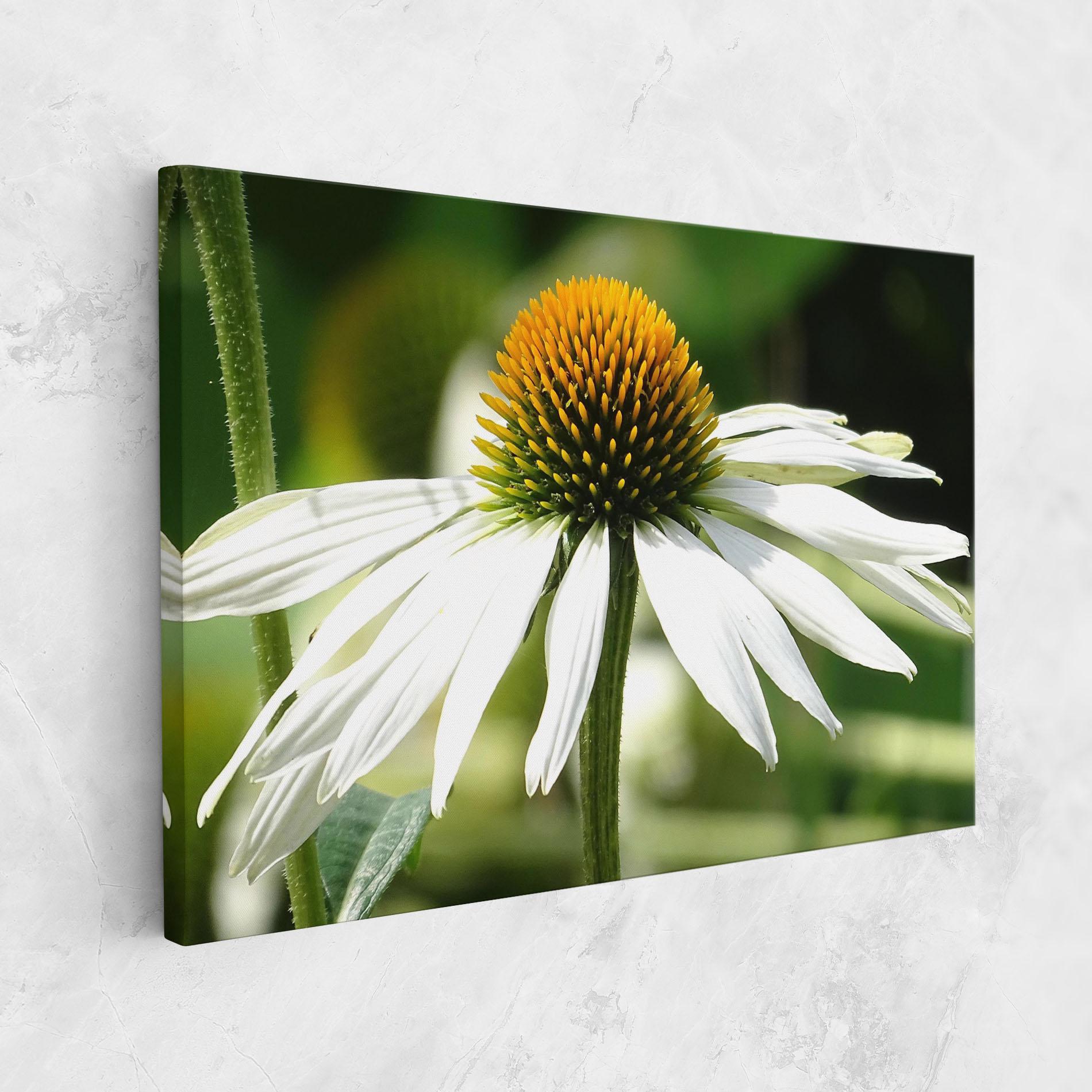 Tablou Canvas Green Daisy mockup 1